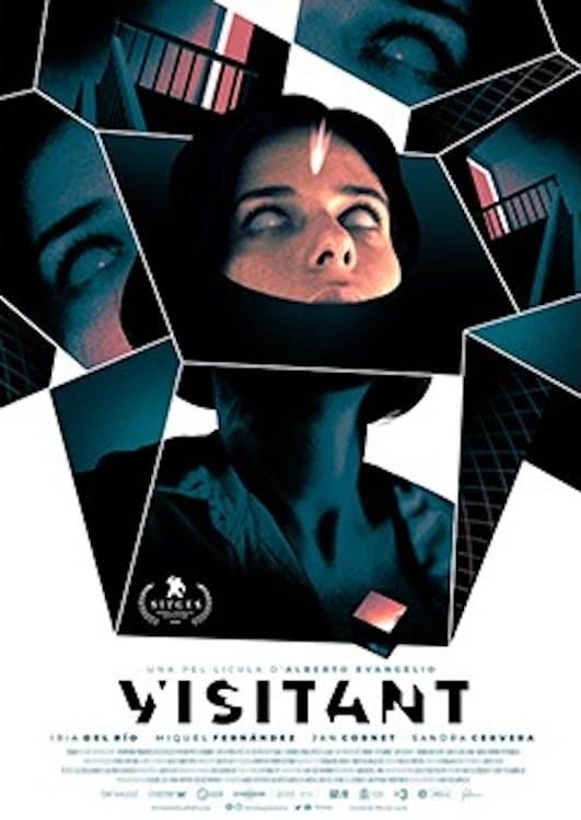 Visitant
