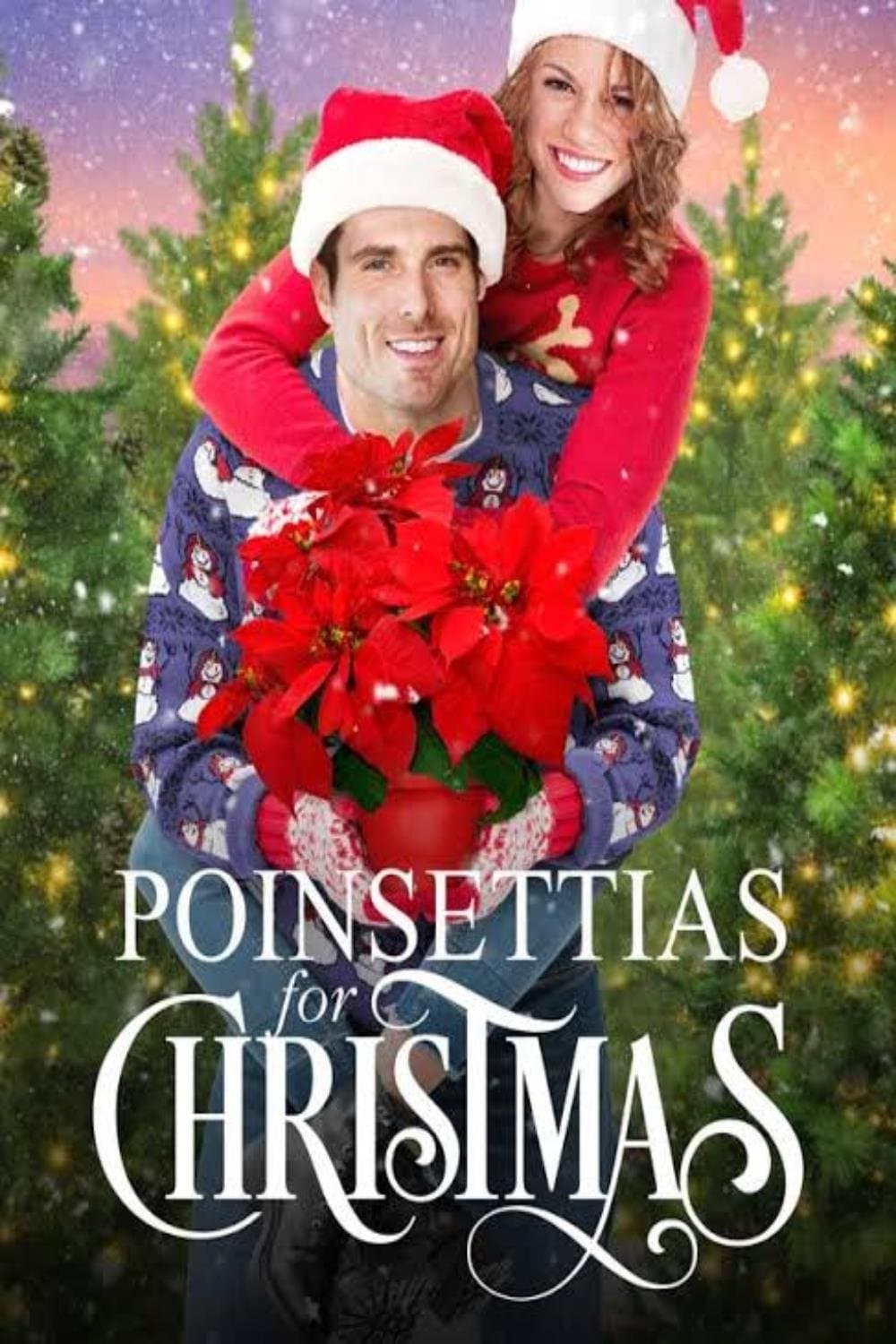 Poinsettias for Christmas