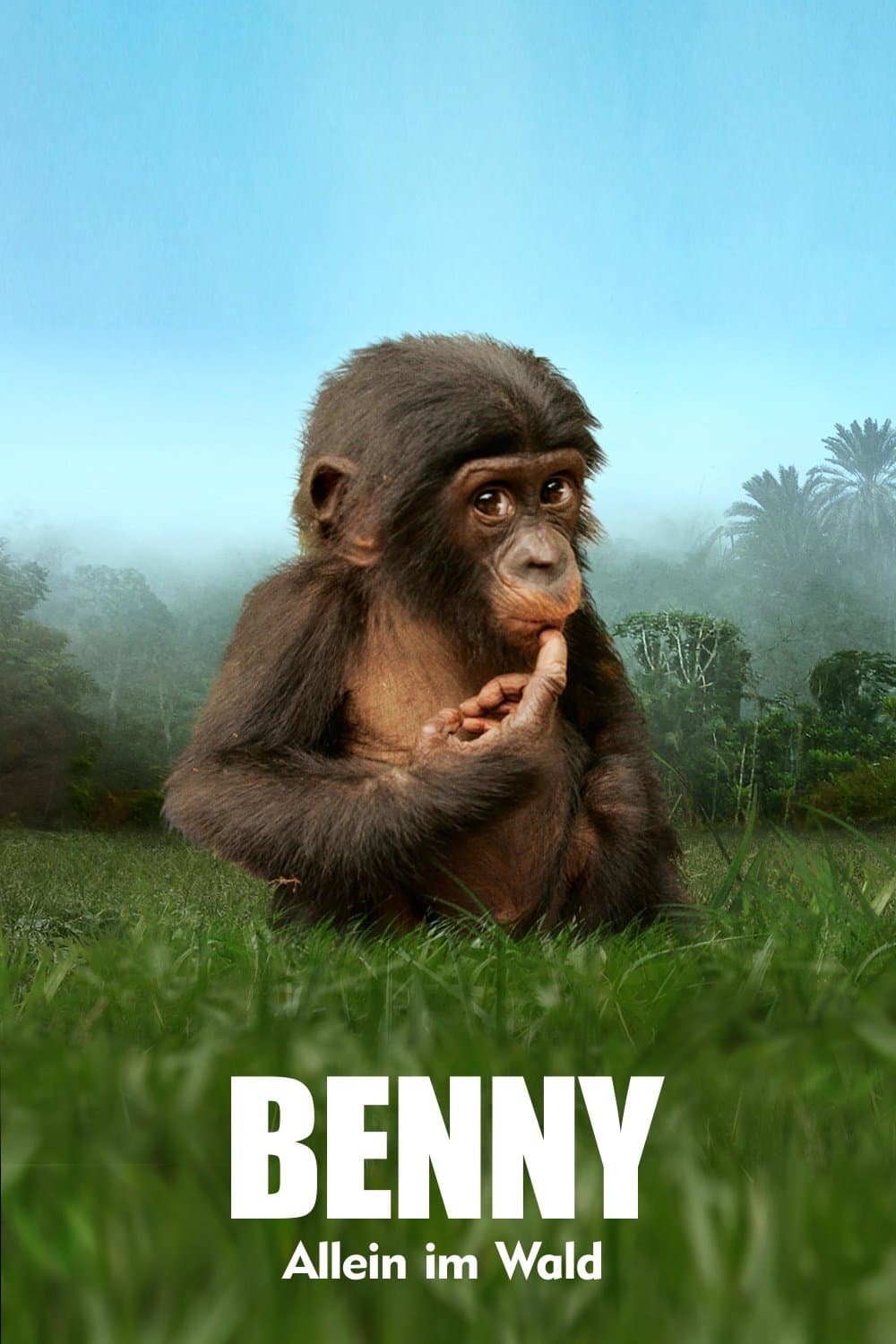 Bonobos: Back to the Wild