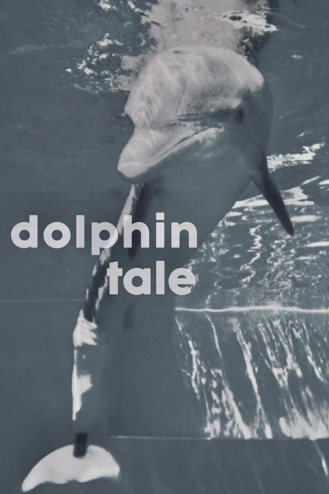 Dolphin Tale