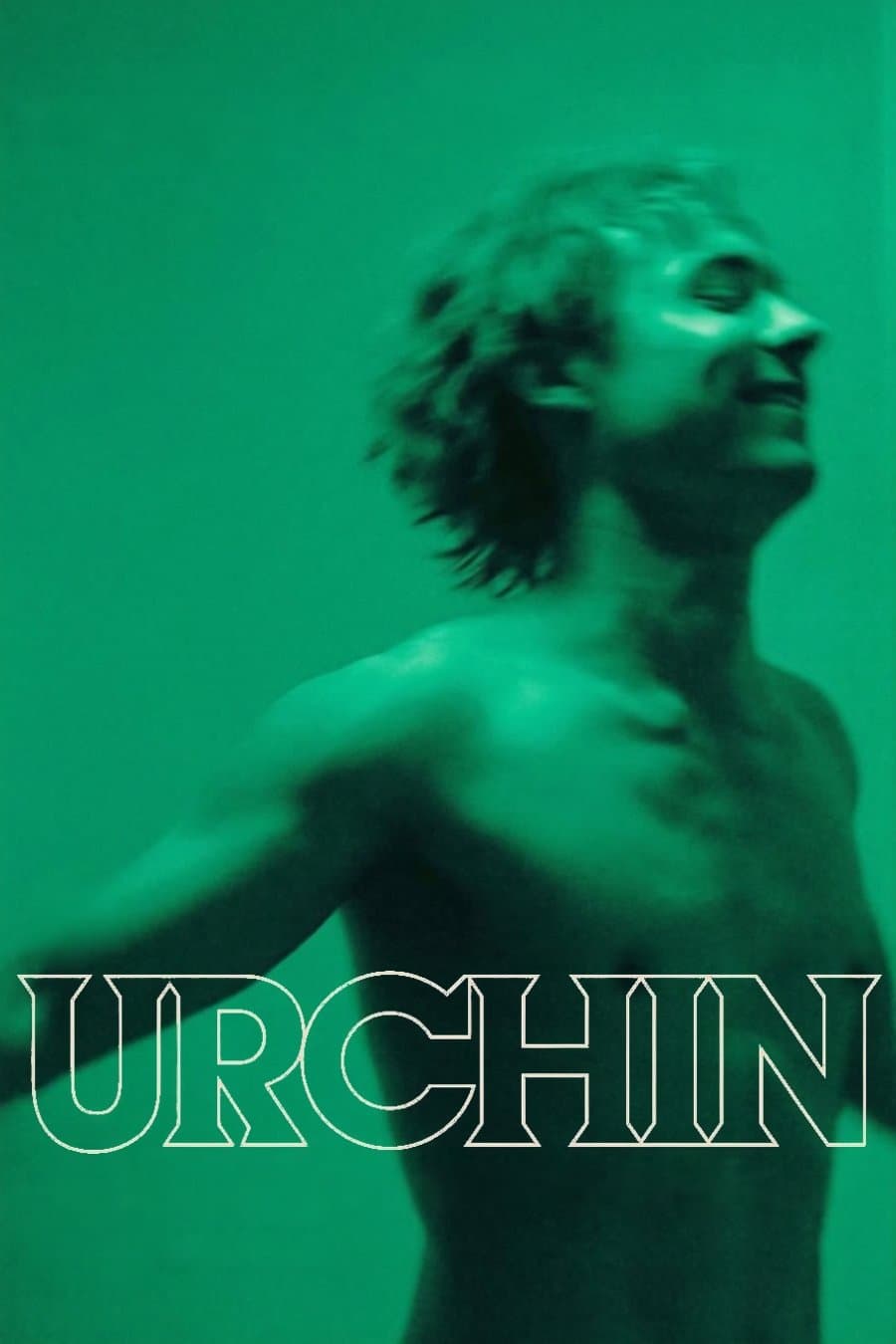 Urchin