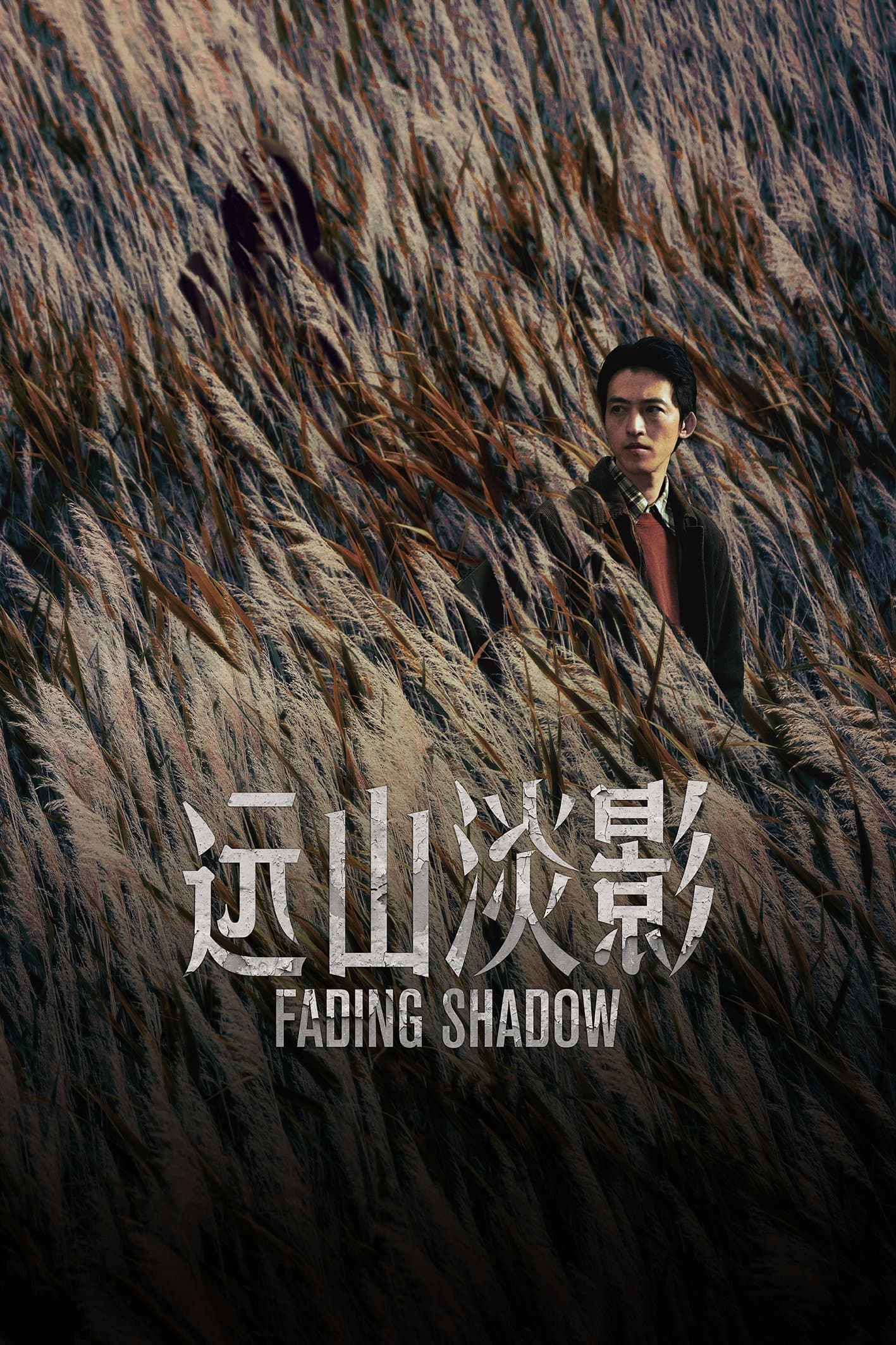 Fading Shadow