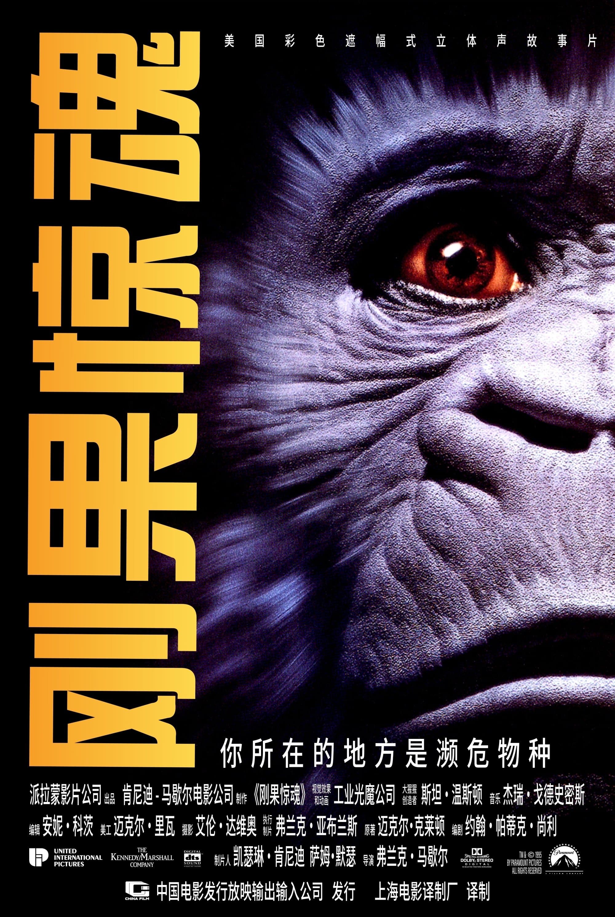 剛果