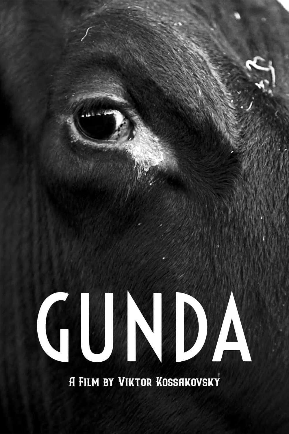Gunda