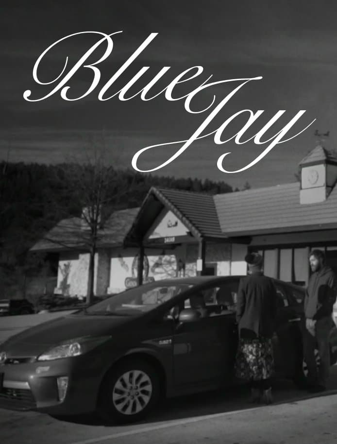 Blue Jay