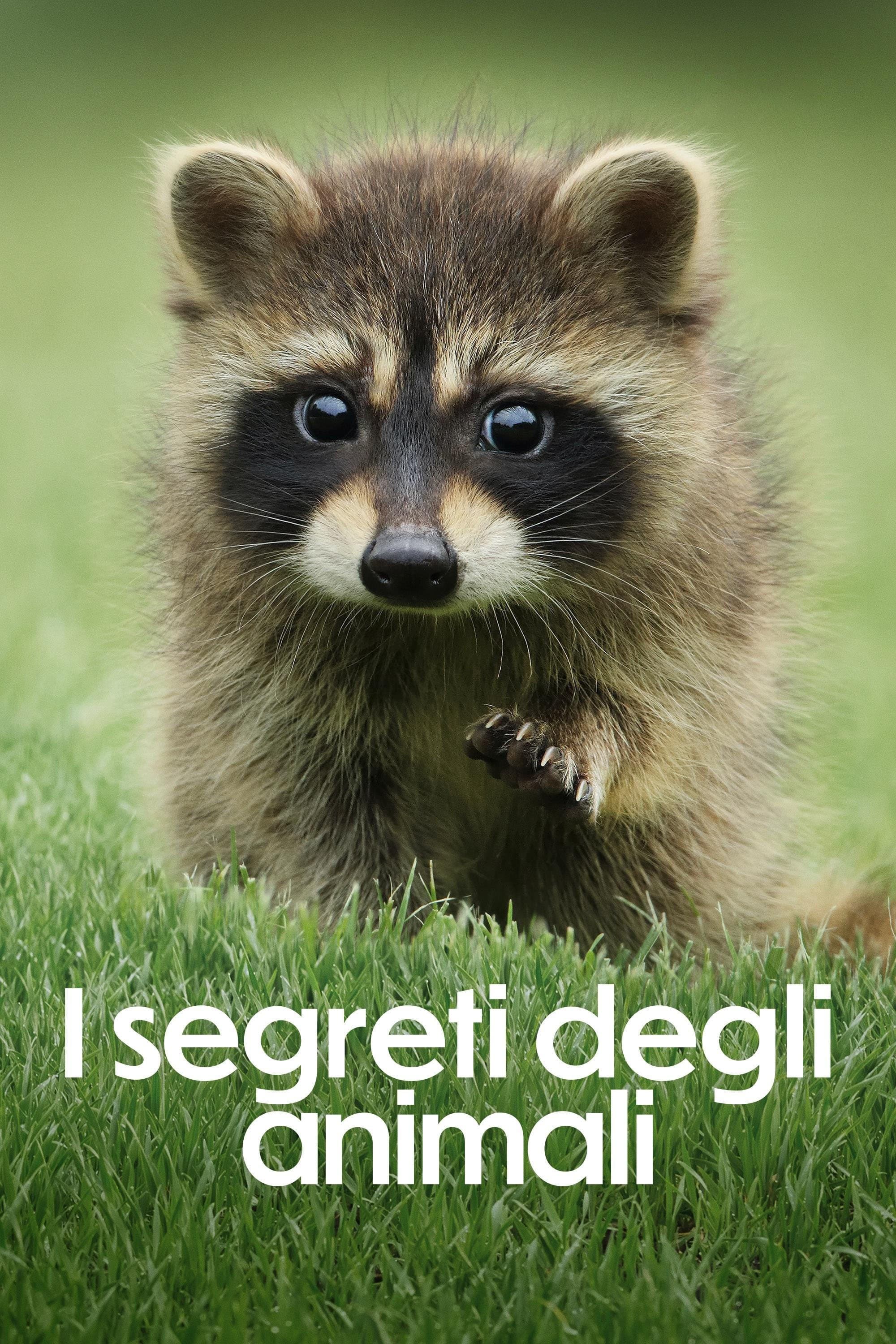 The Secret Lives of Animals