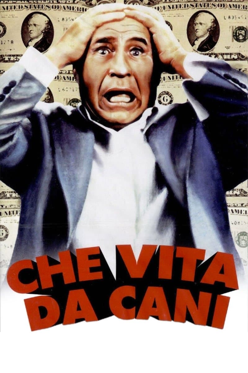 Che vita da cani!