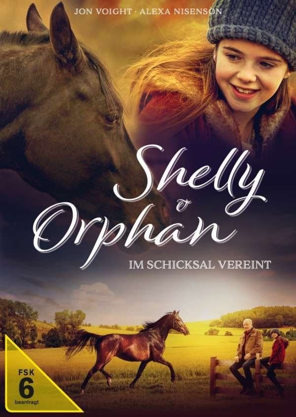 Orphan Horse