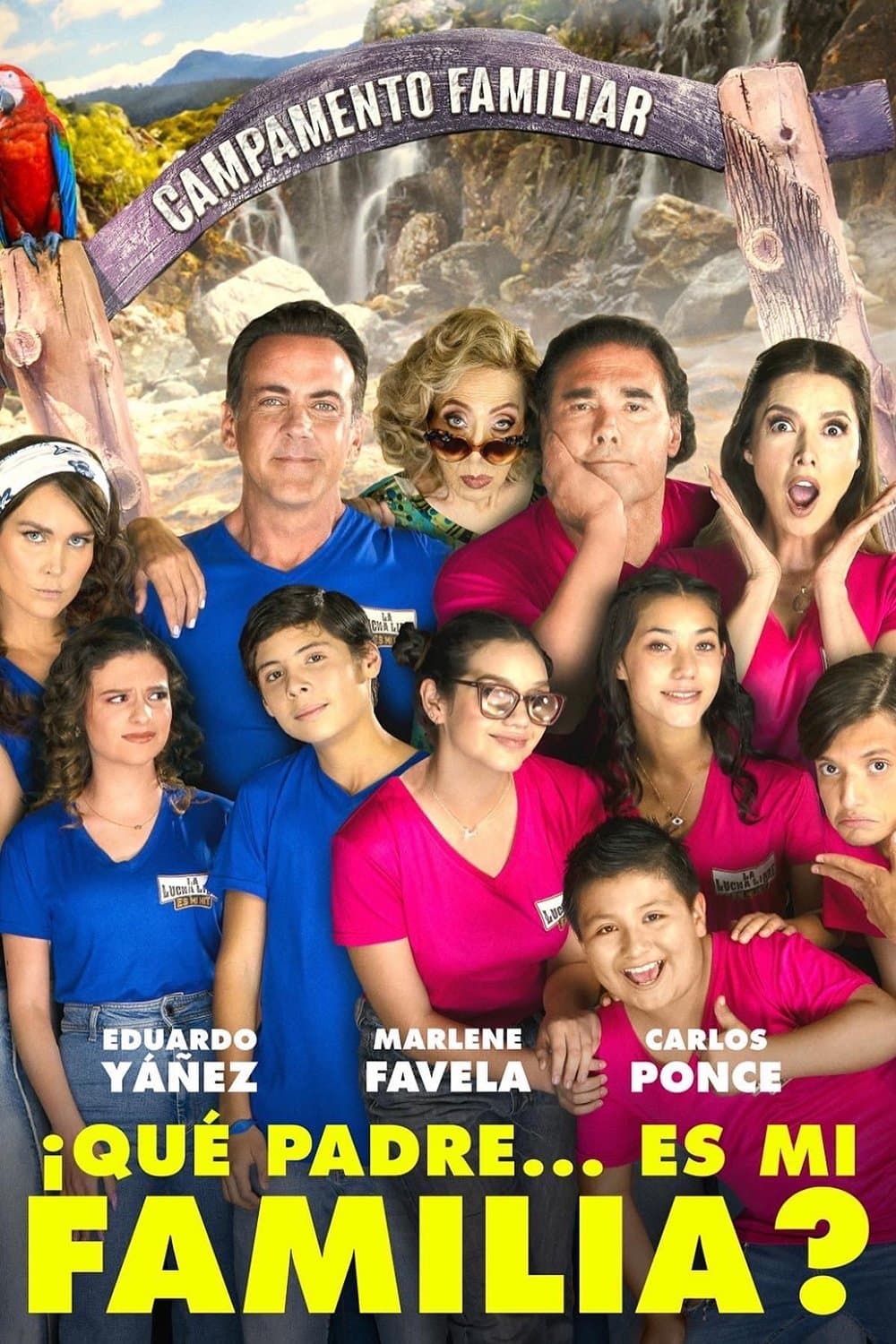 What Father… Is My Family?