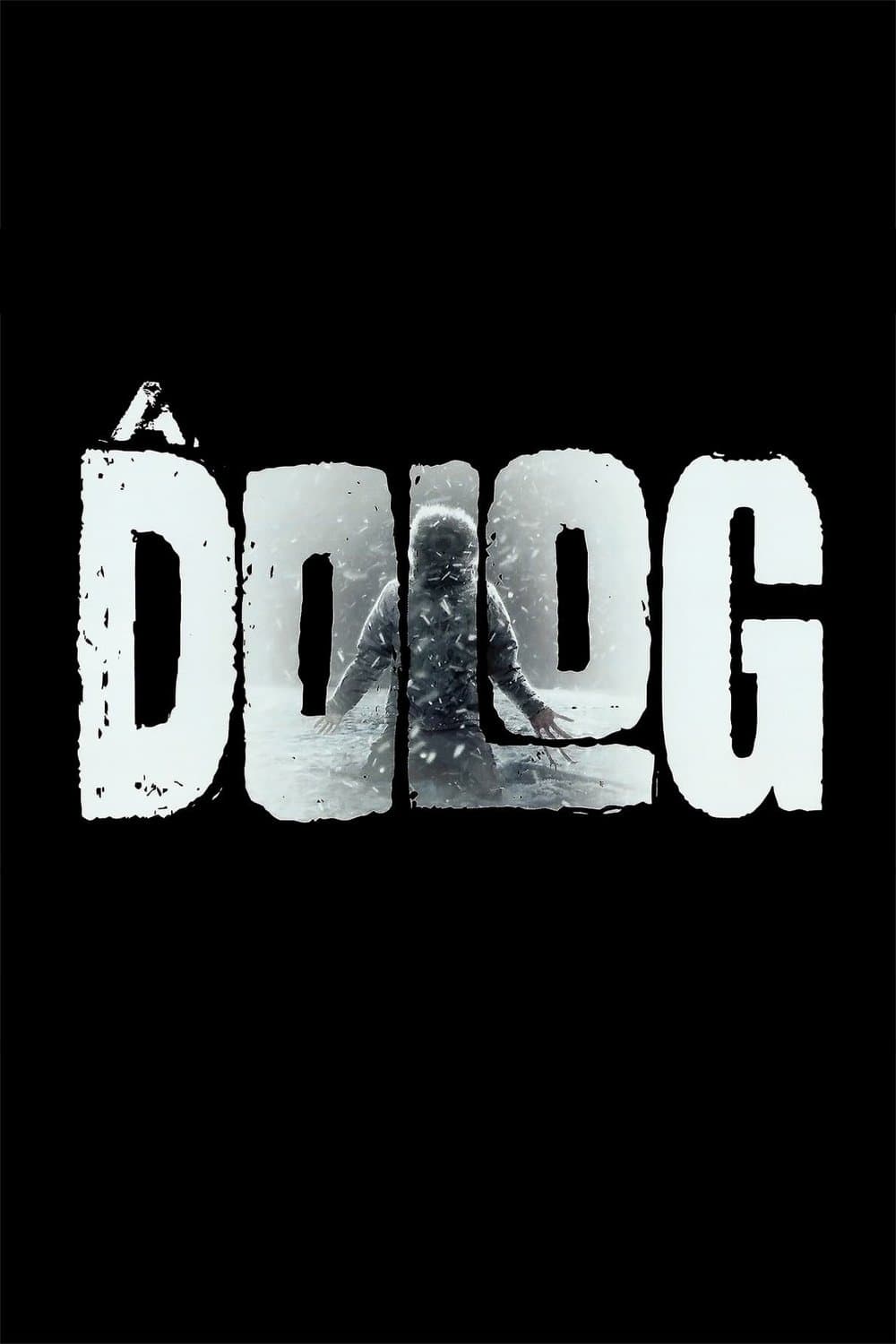 A Dolog