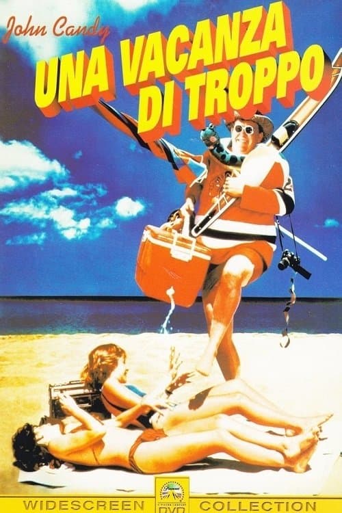 Summer Rental