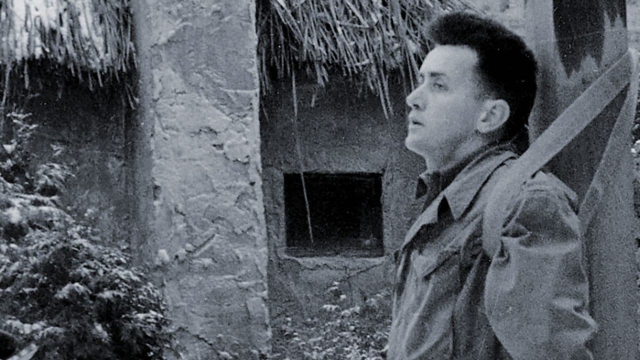 Lin McCarthy
