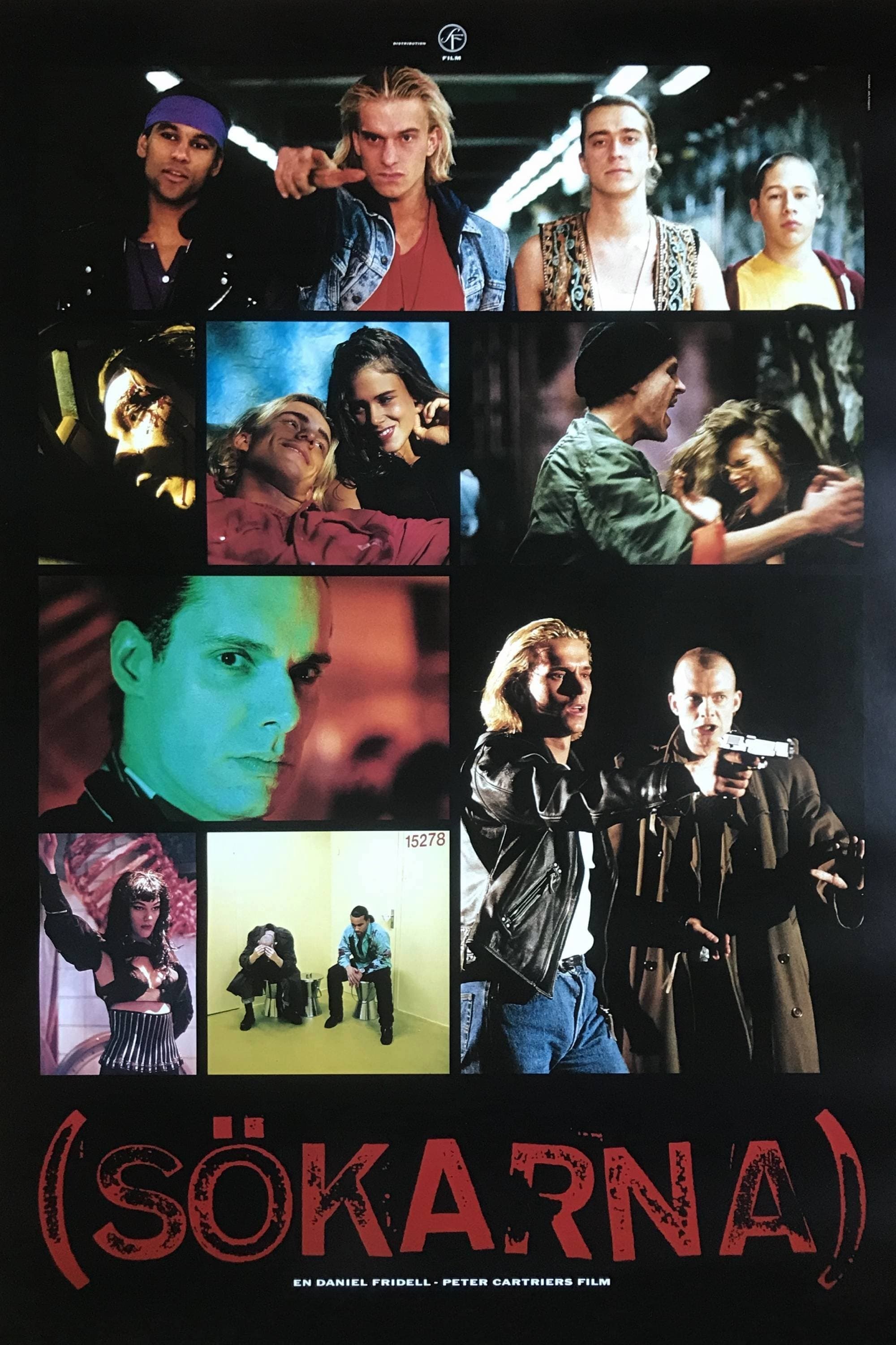 The Searchers