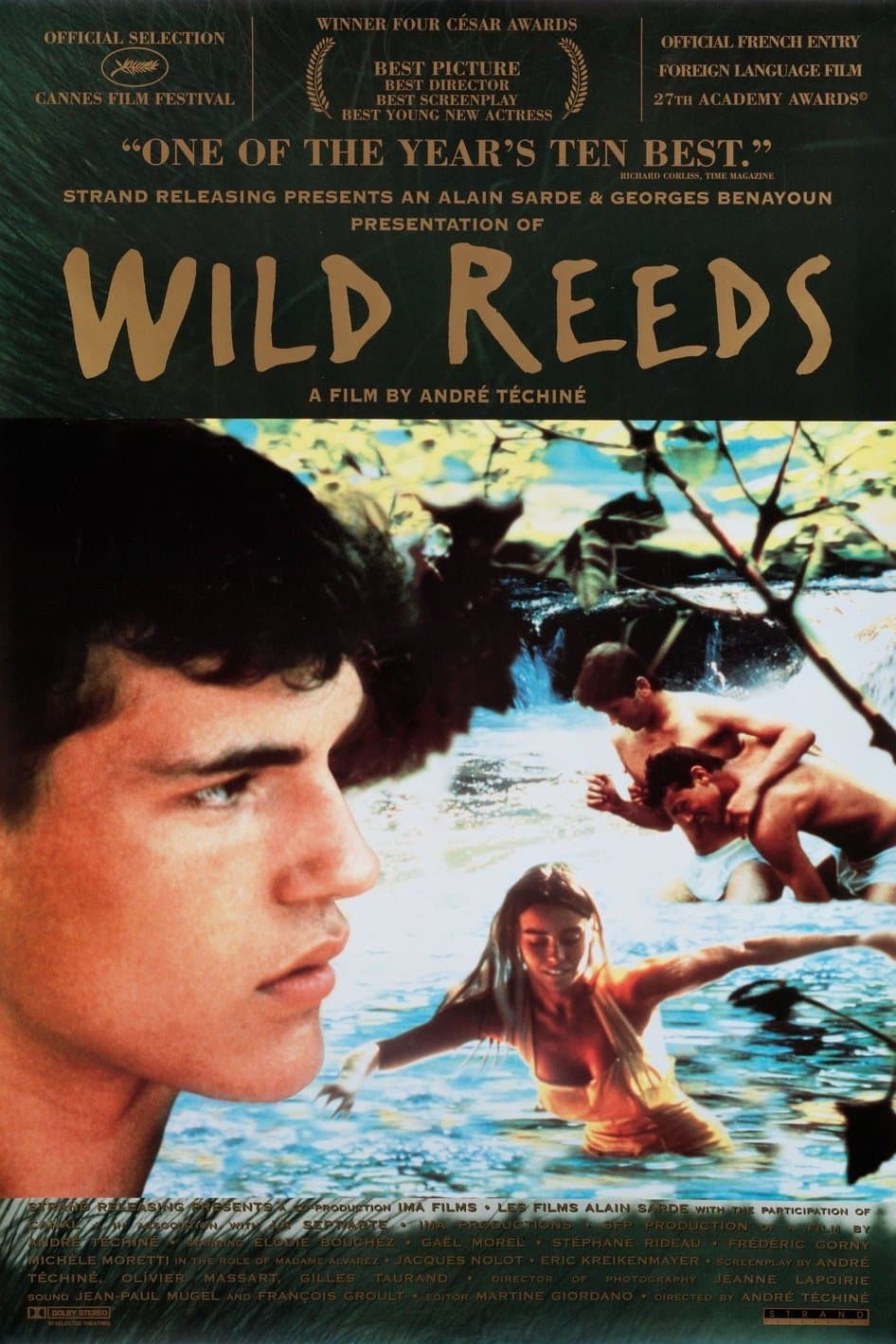 Wild Reeds