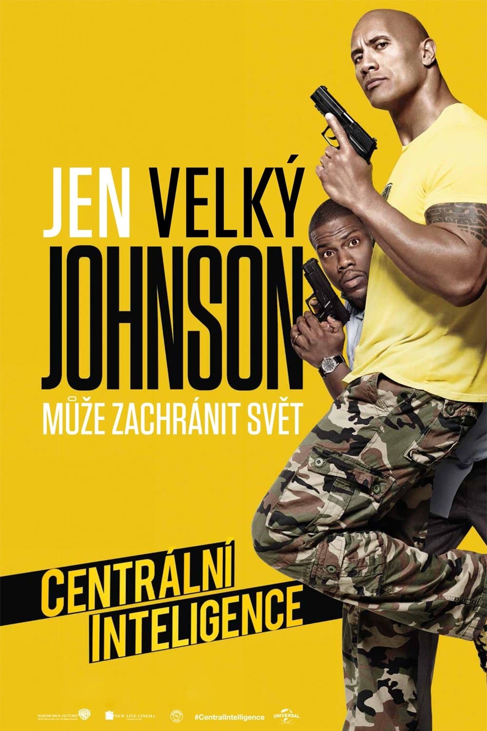 Centrální inteligence