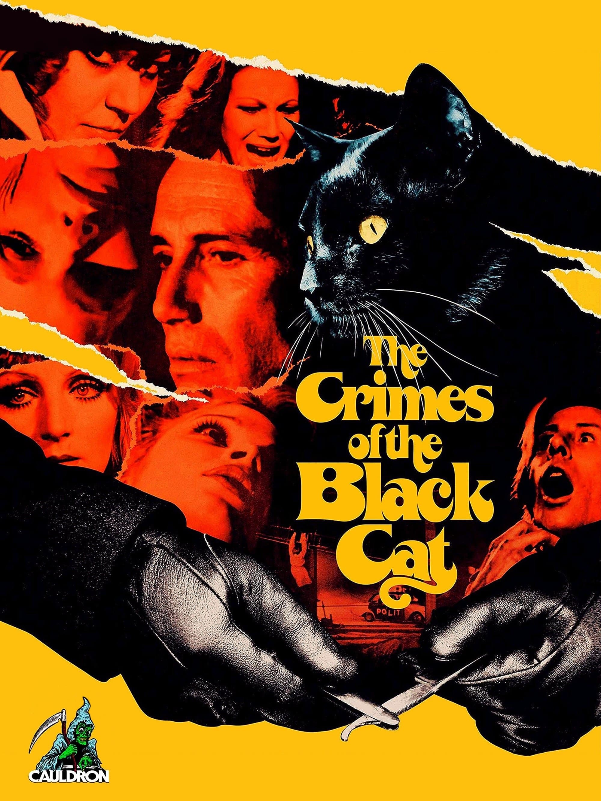 The Crimes of the Black Cat
