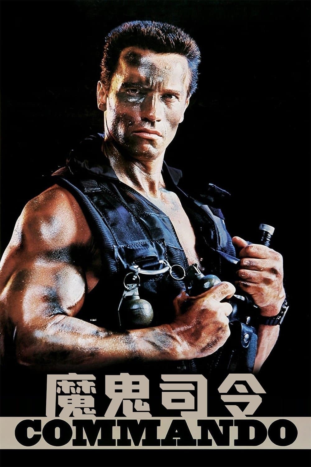 獨闖龍潭