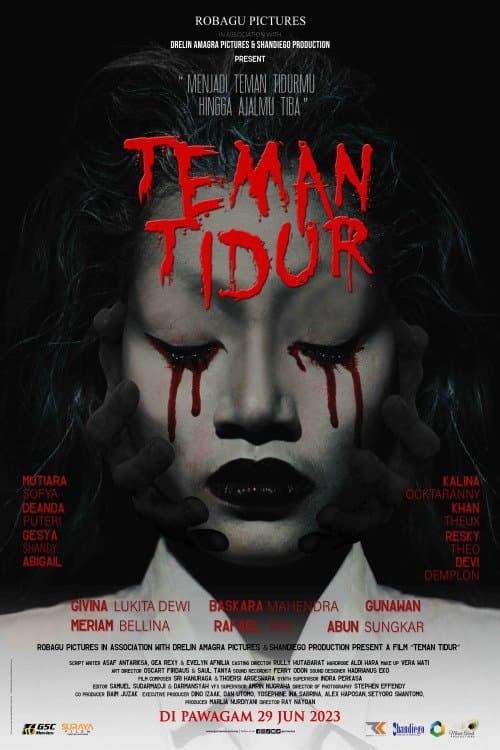 Teman Tidur
