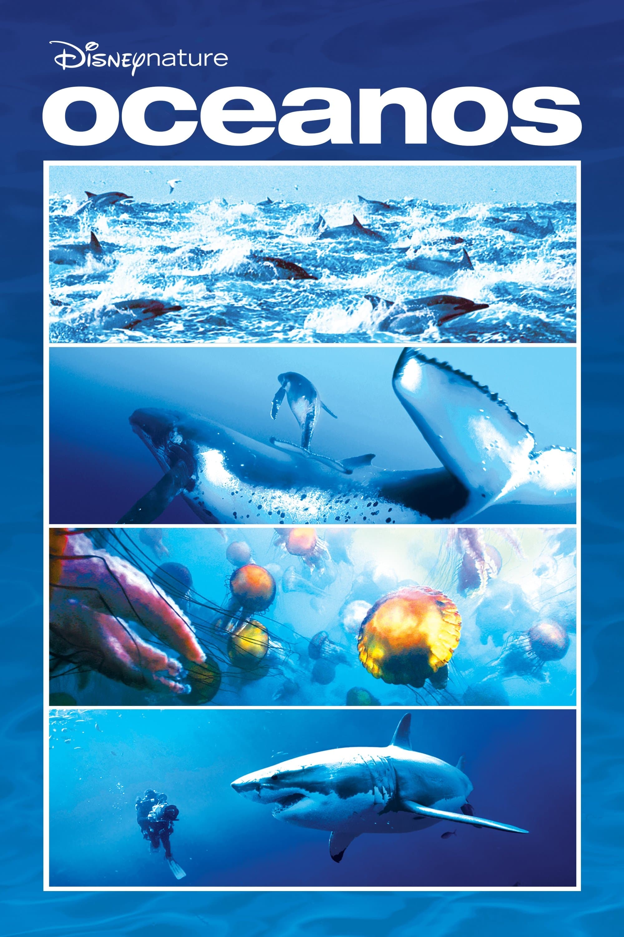 Oceans