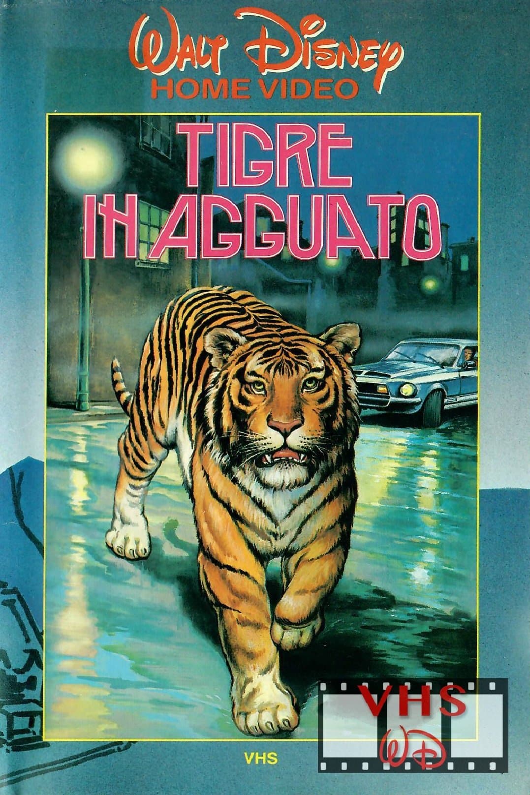 A Tiger Walks