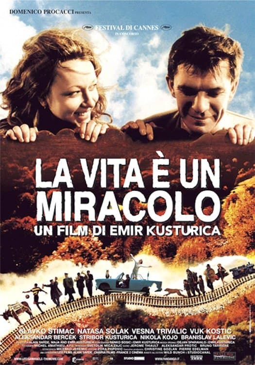 Life Is a Miracle