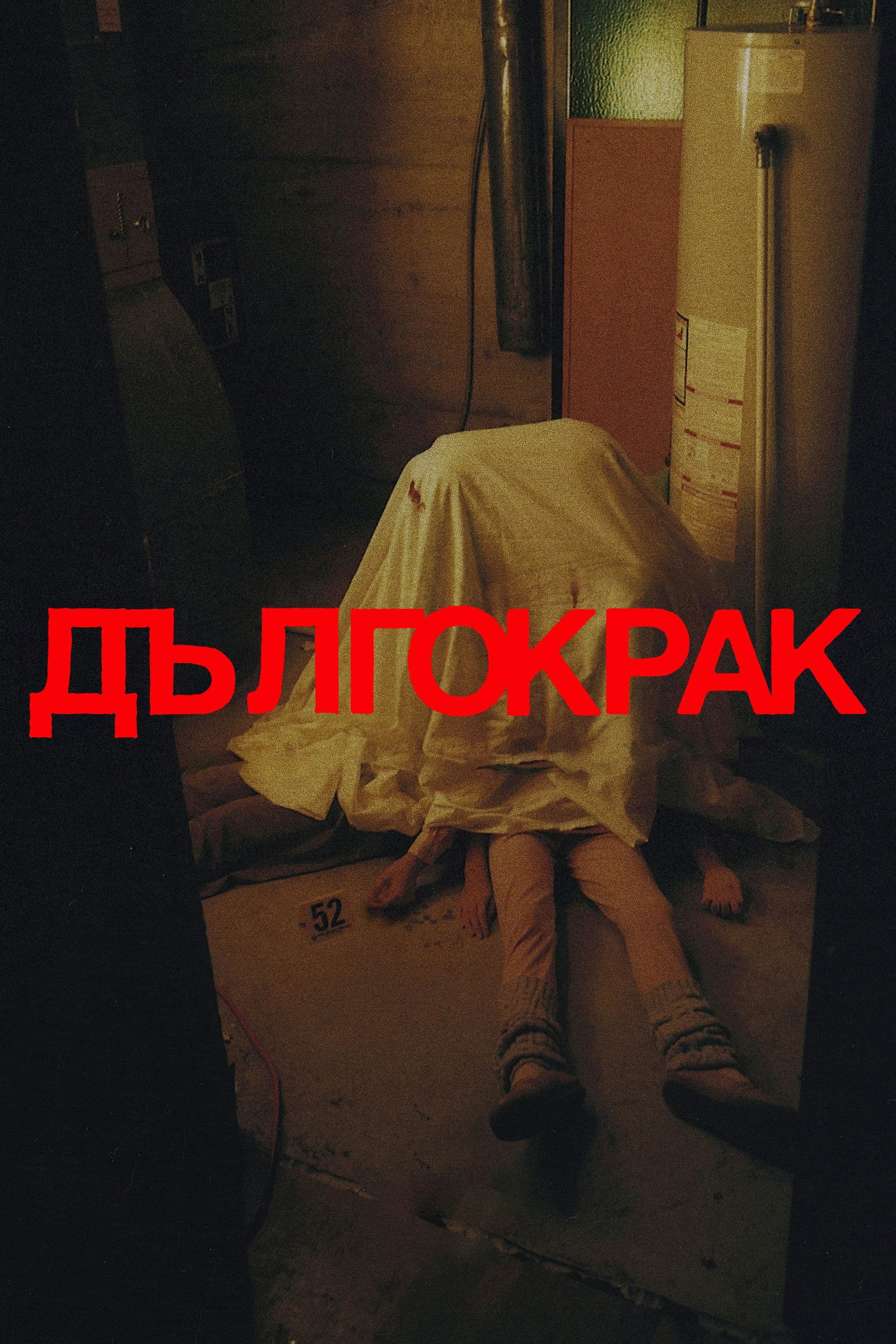 Дългокрак