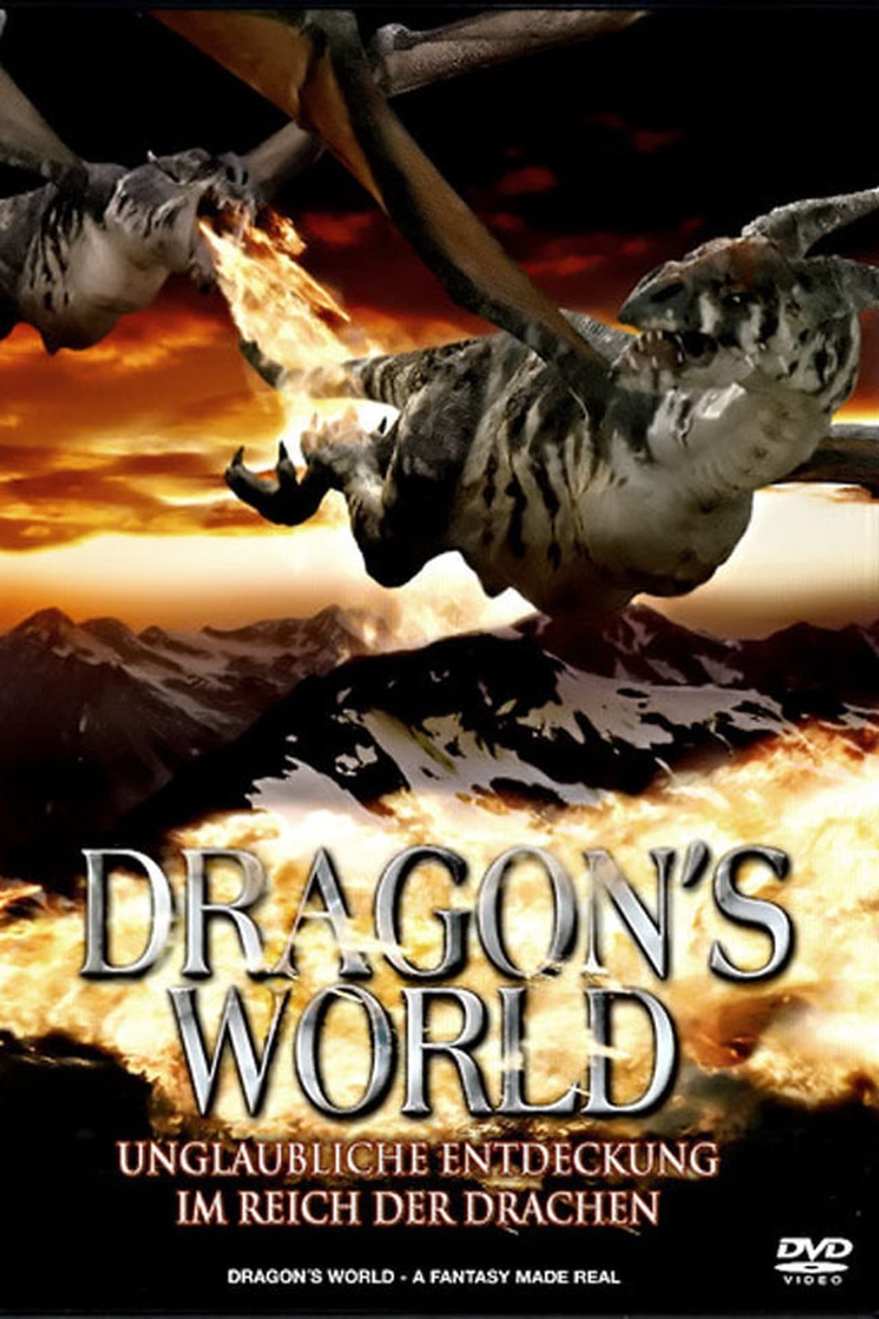 The Last Dragon