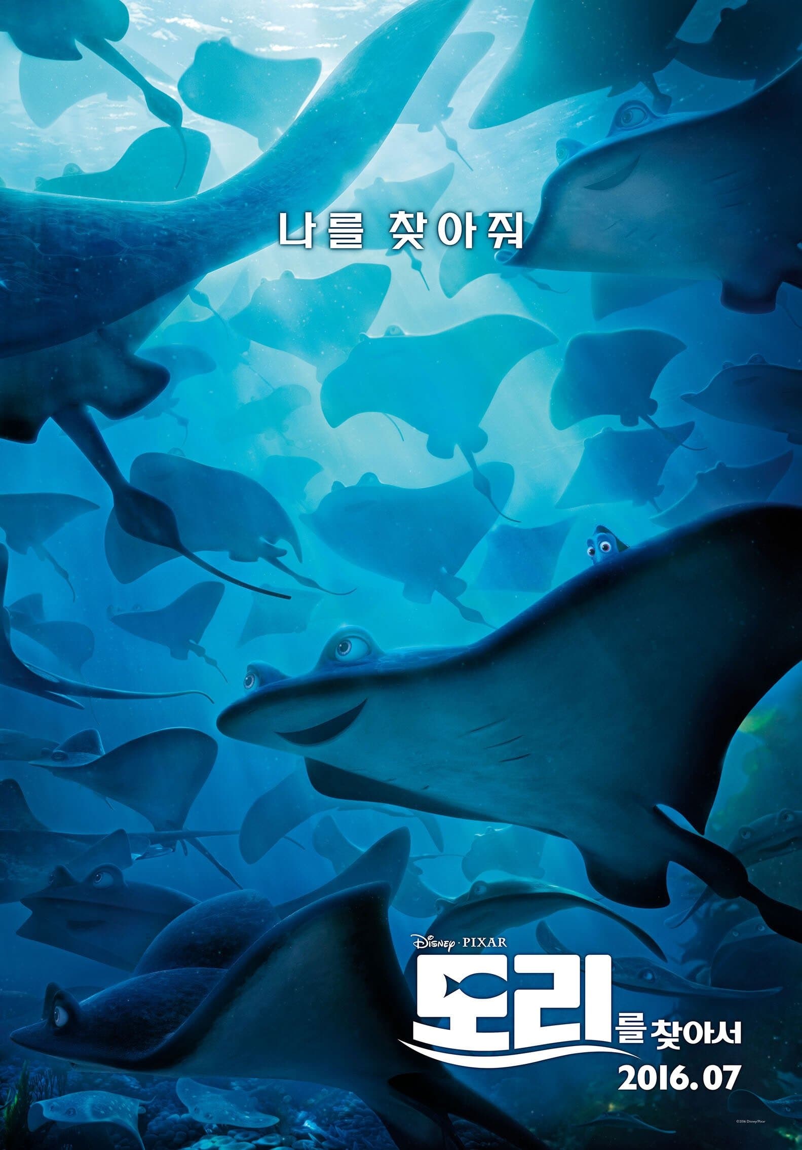 도리를 찾아서