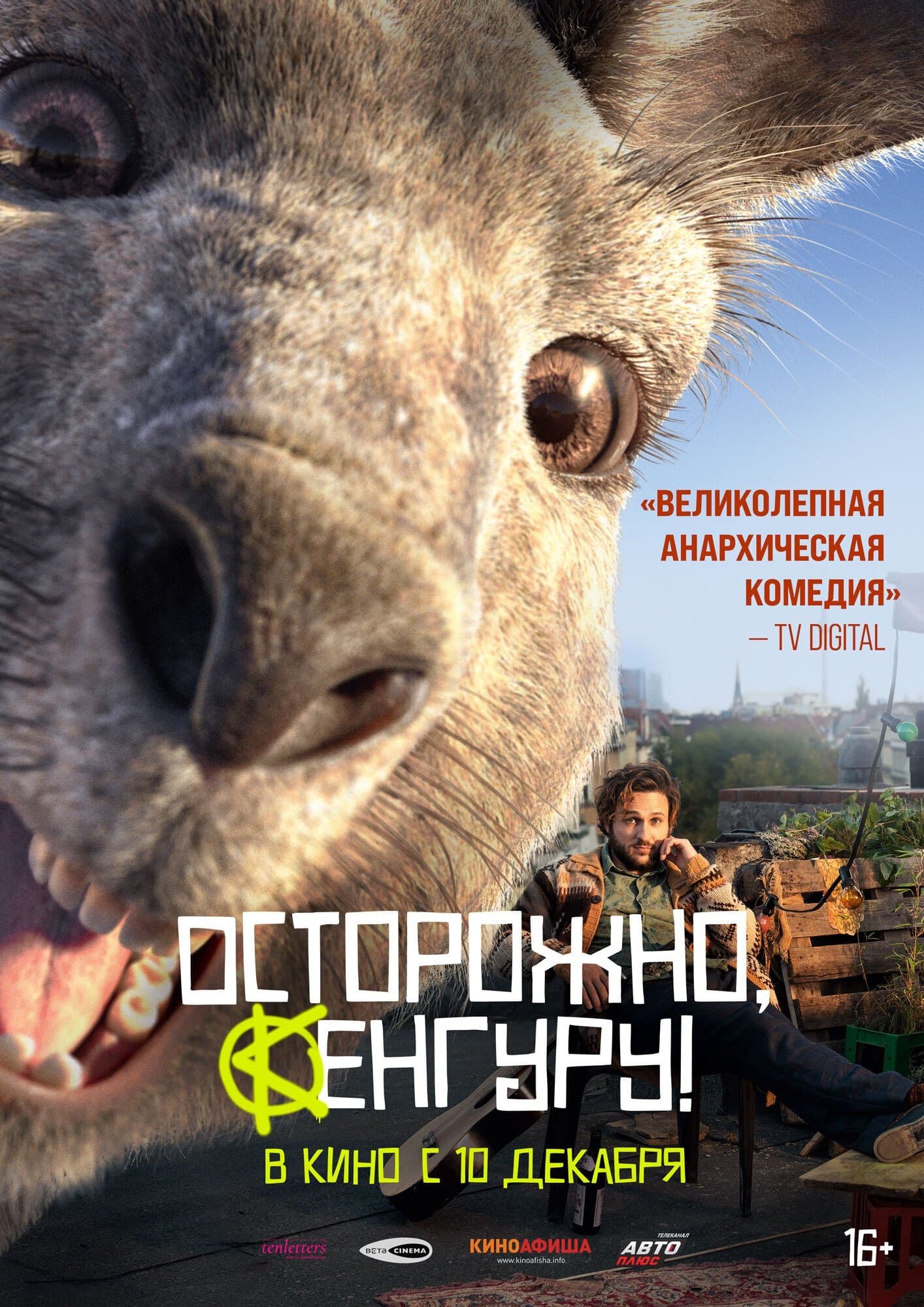 Осторожно, Кенгуру!