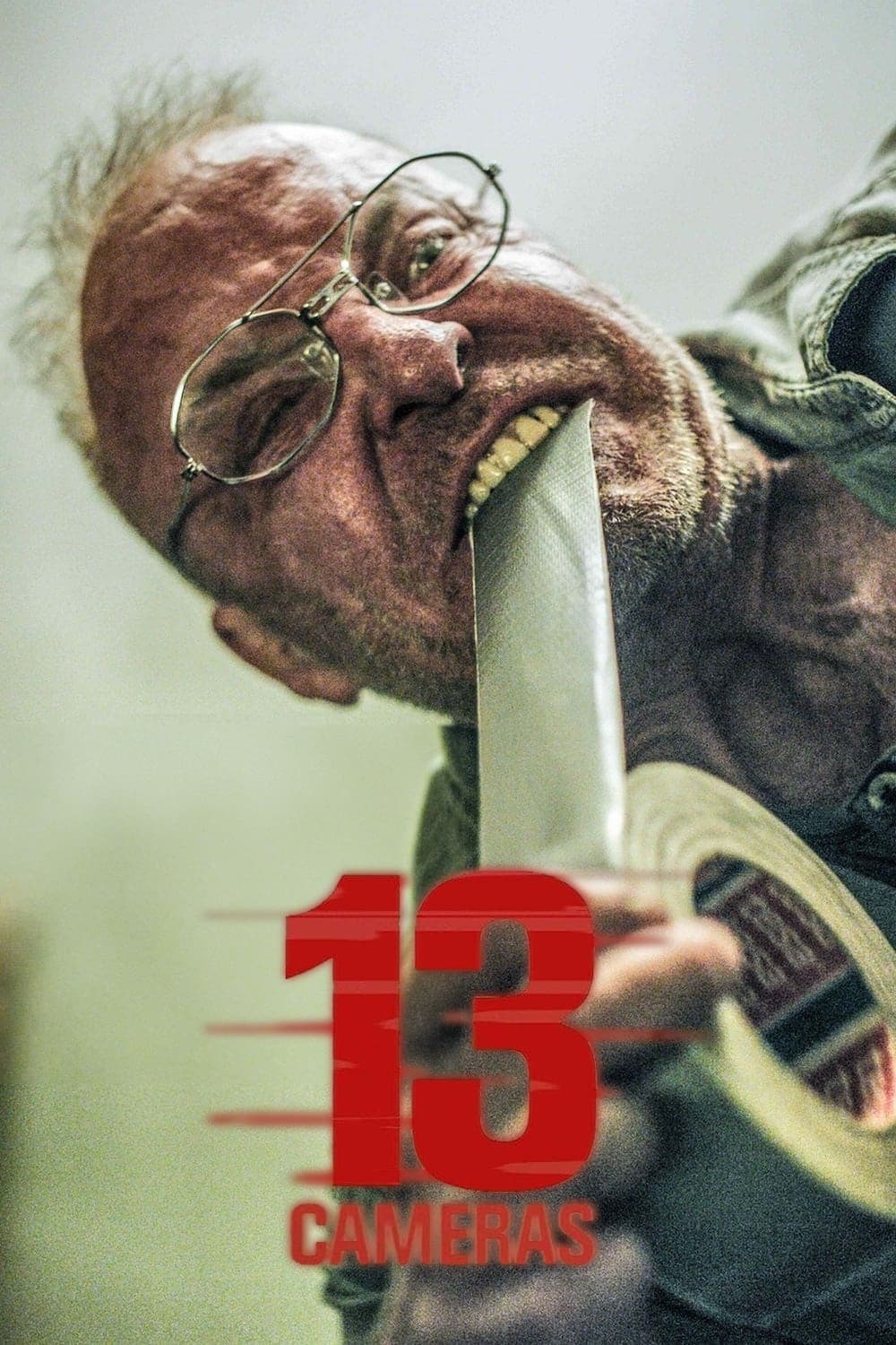 13 Cámaras