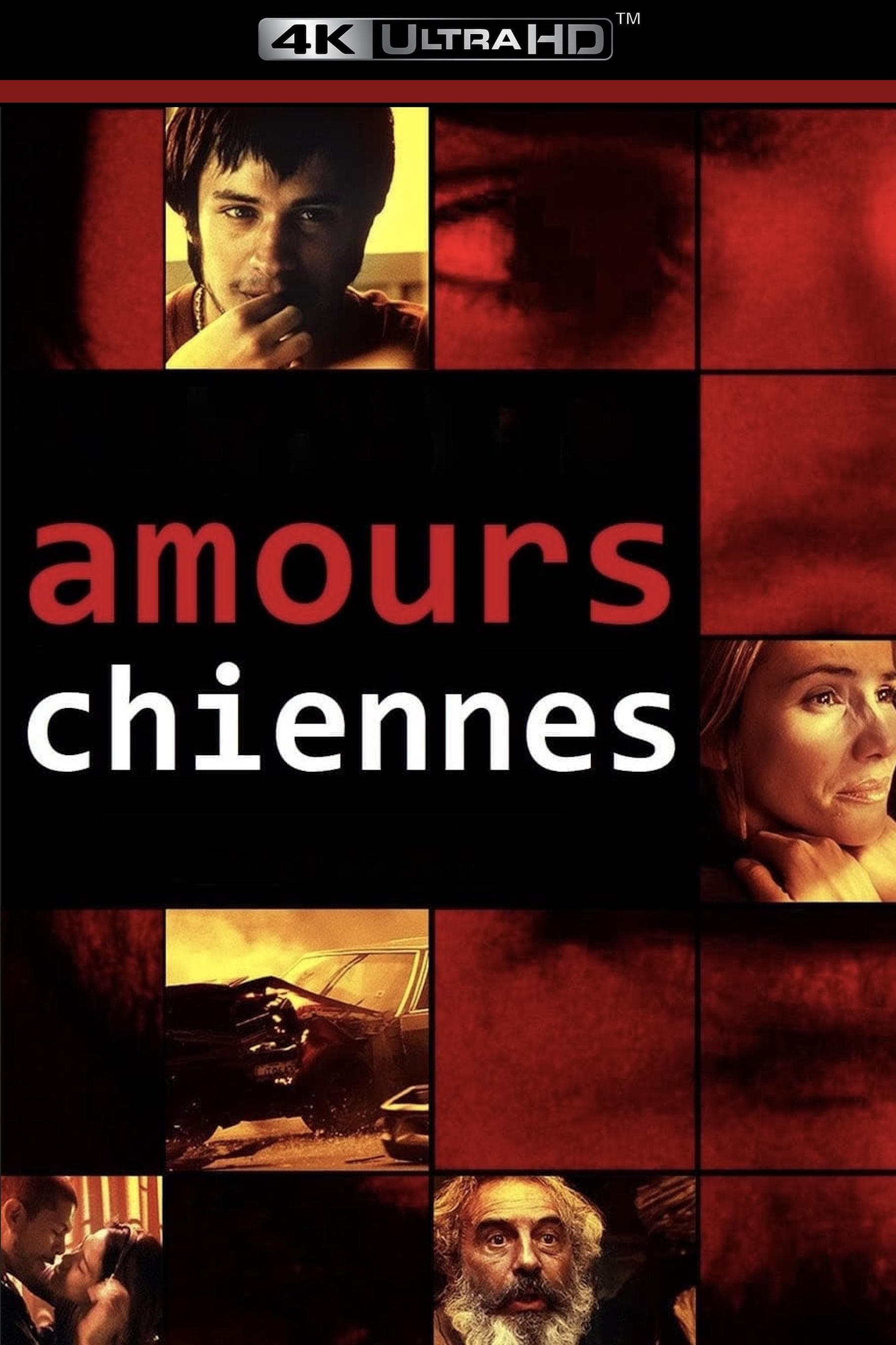 Amours chiennes