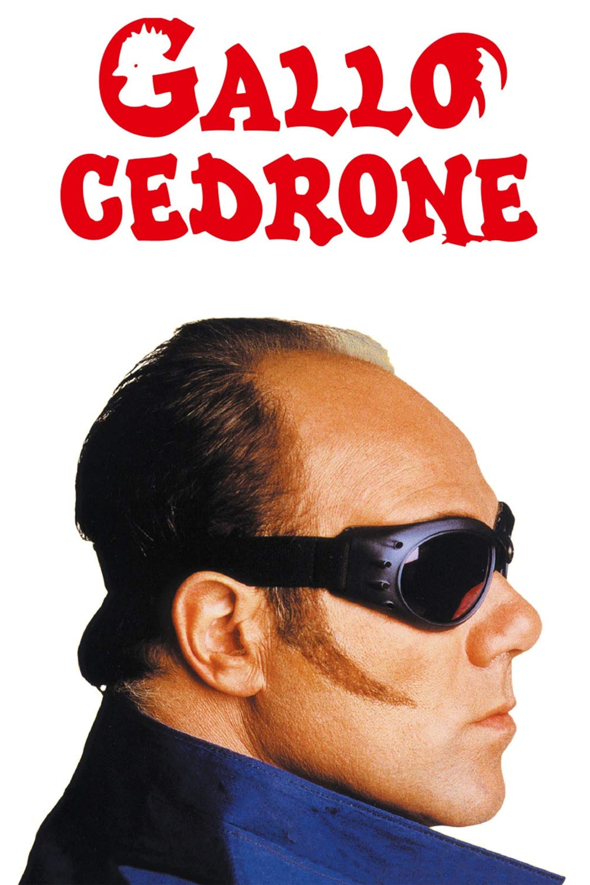 Gallo cedrone