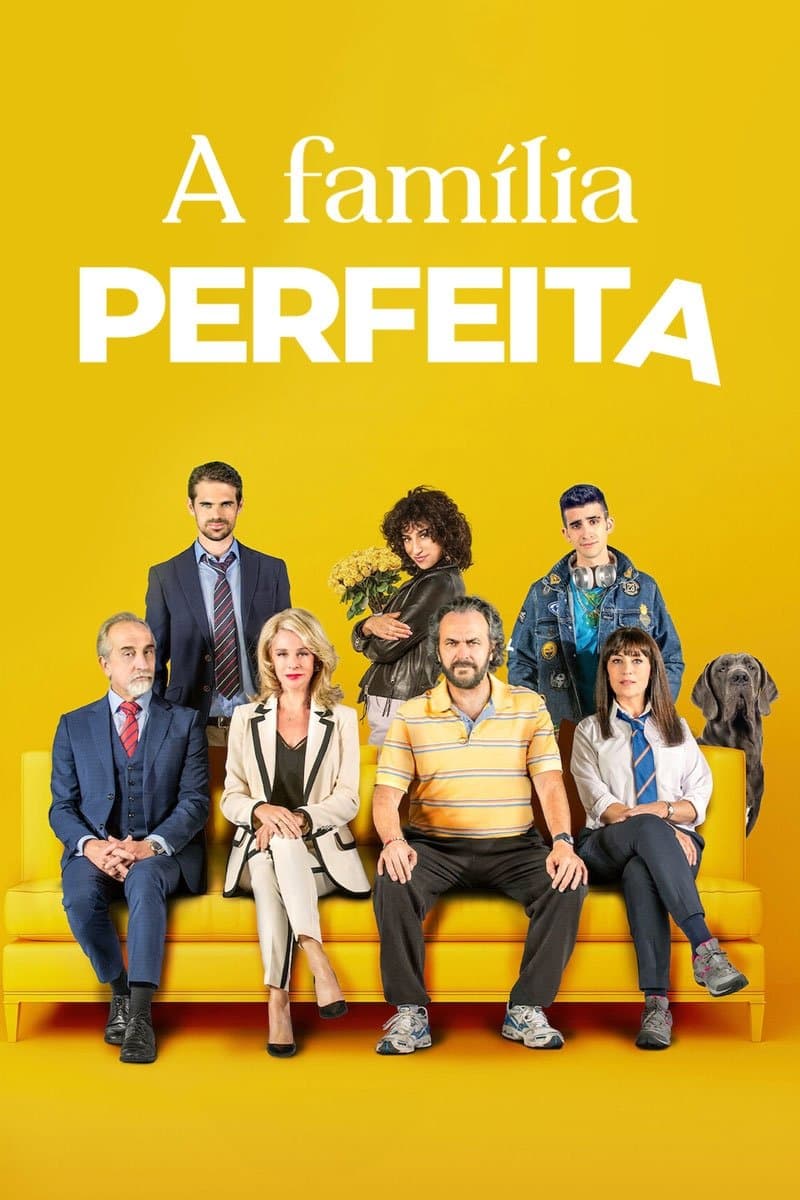 The Perfect Family