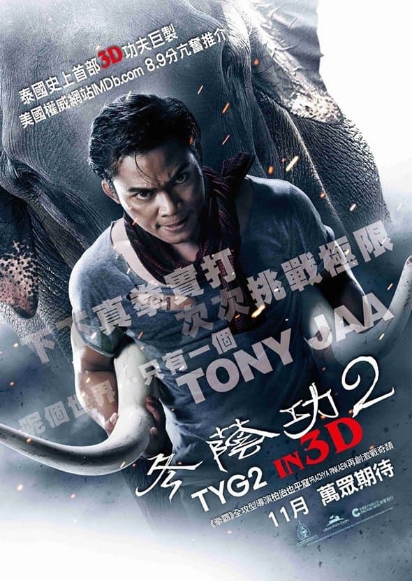 The Protector 2