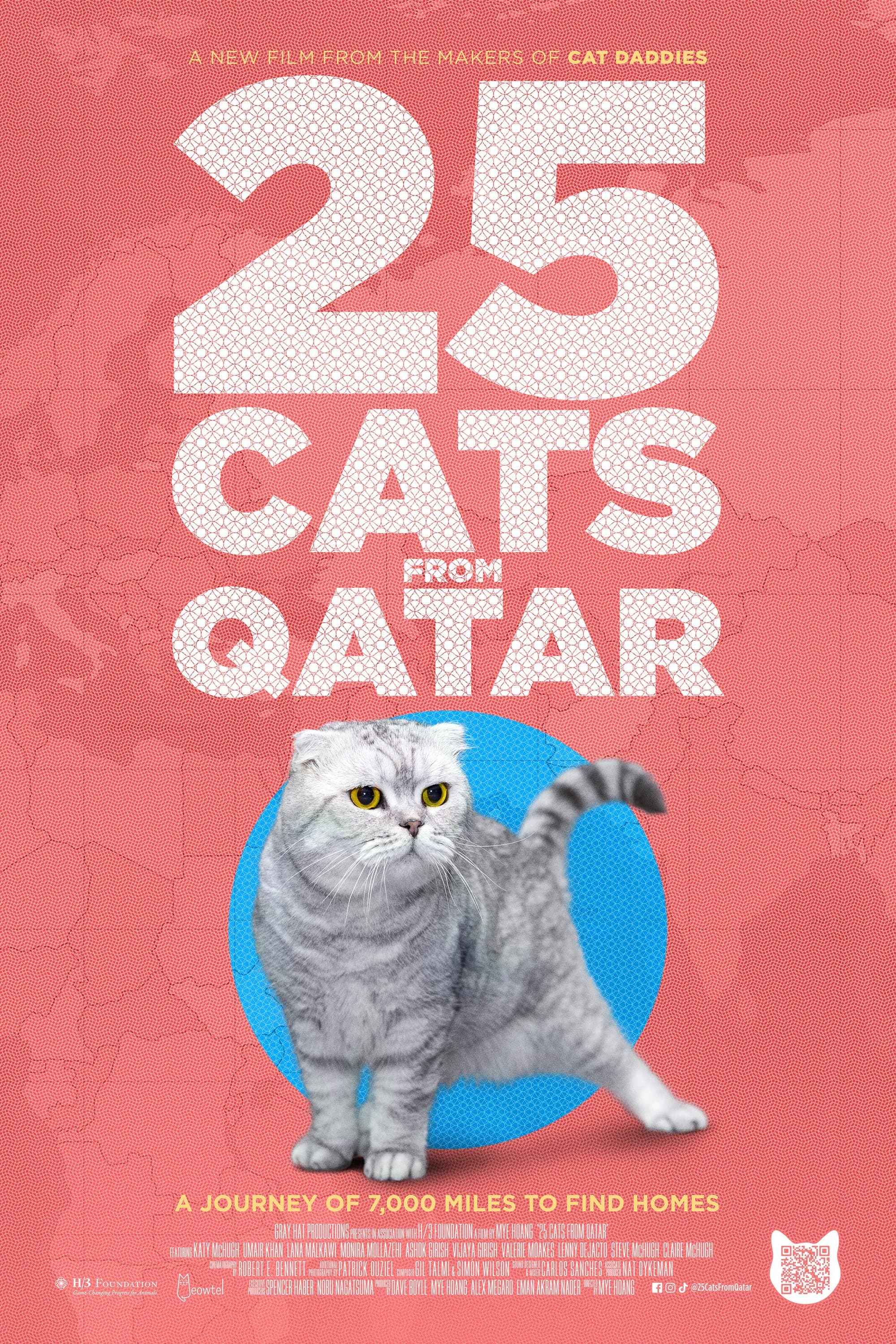 25 Cats from Qatar