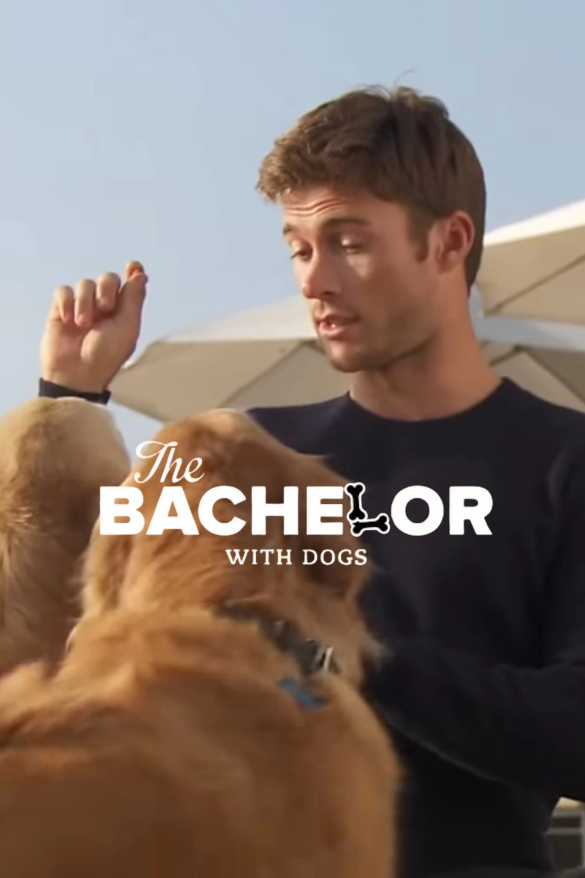 The Bachelor with Dogs and Scott Eastwood