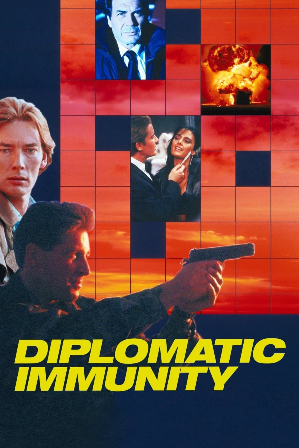 Diplomatic Immunity
