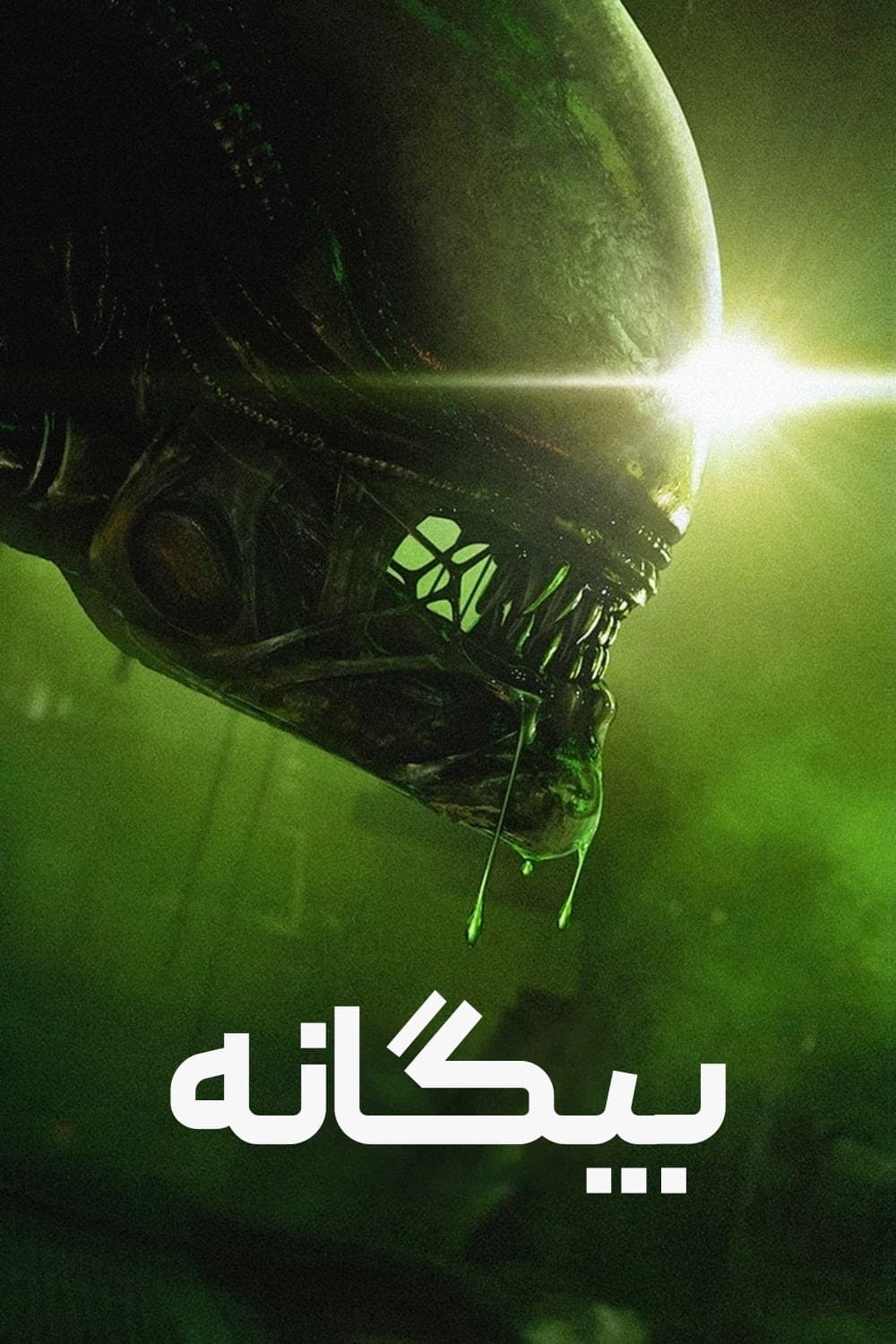 بیگانه