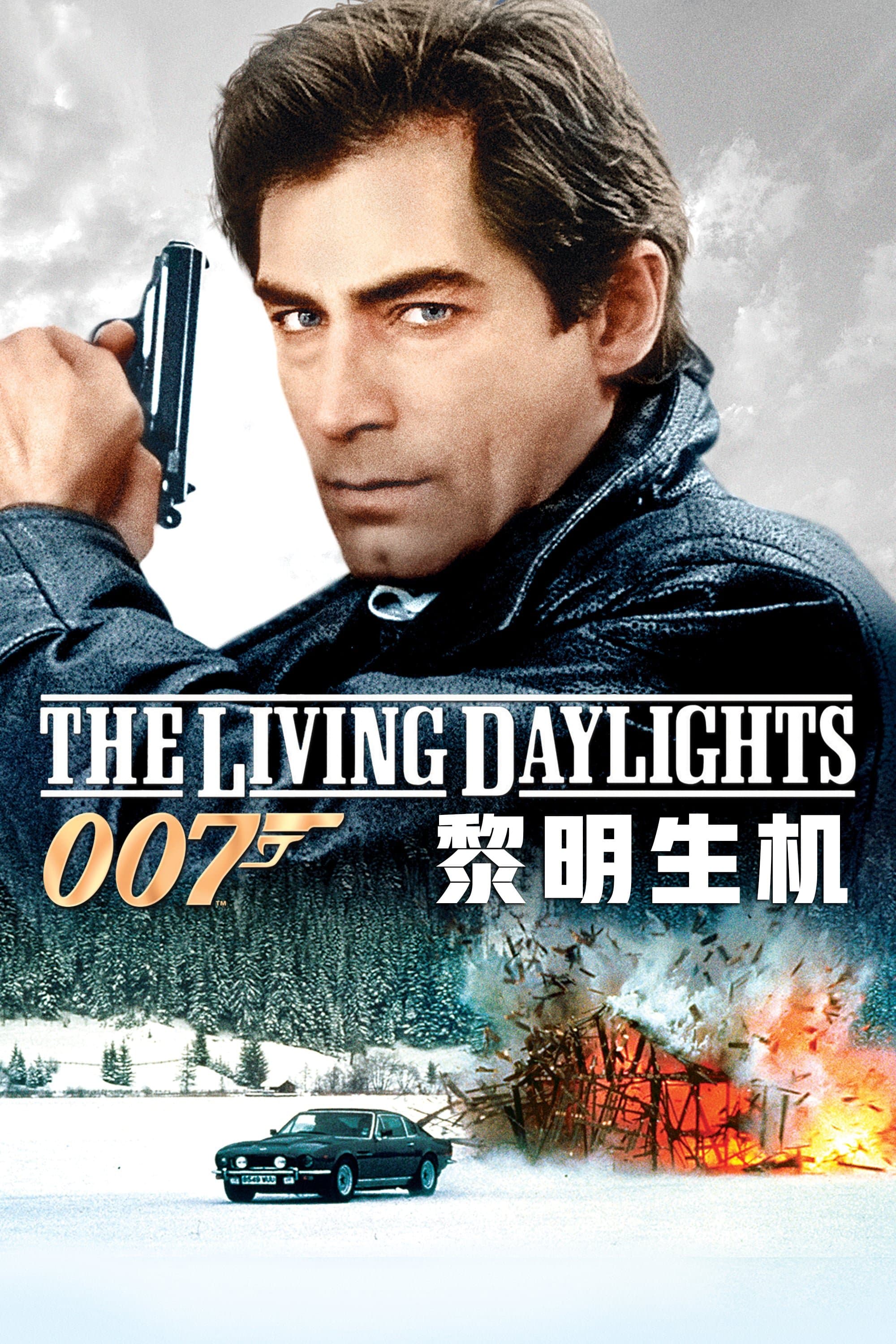 鐵金剛大戰特務飛龍