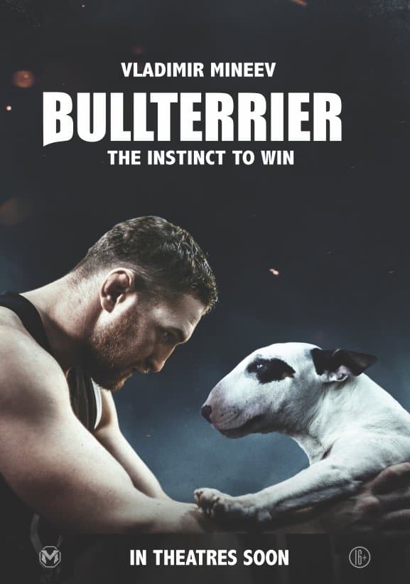 Bullterrier