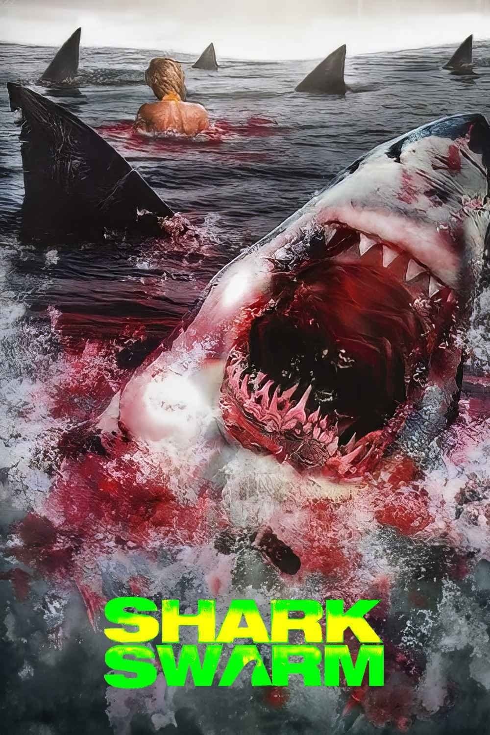 Shark Swarm