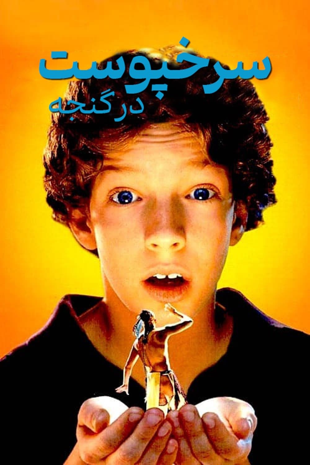 The Indian in the Cupboard