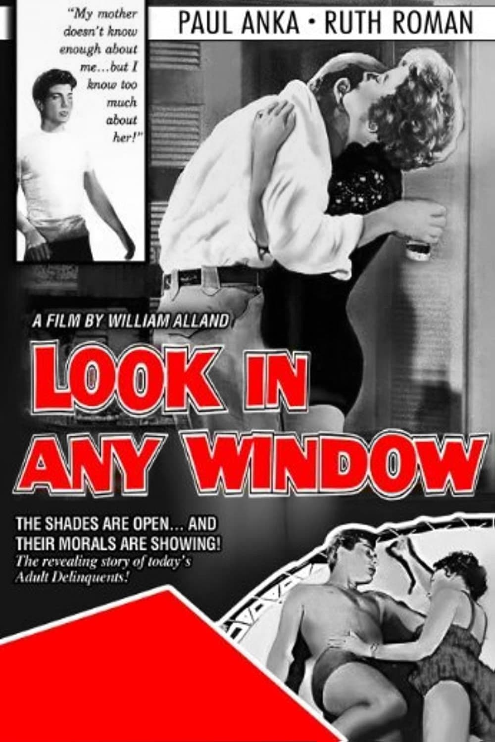 Look in Any Window