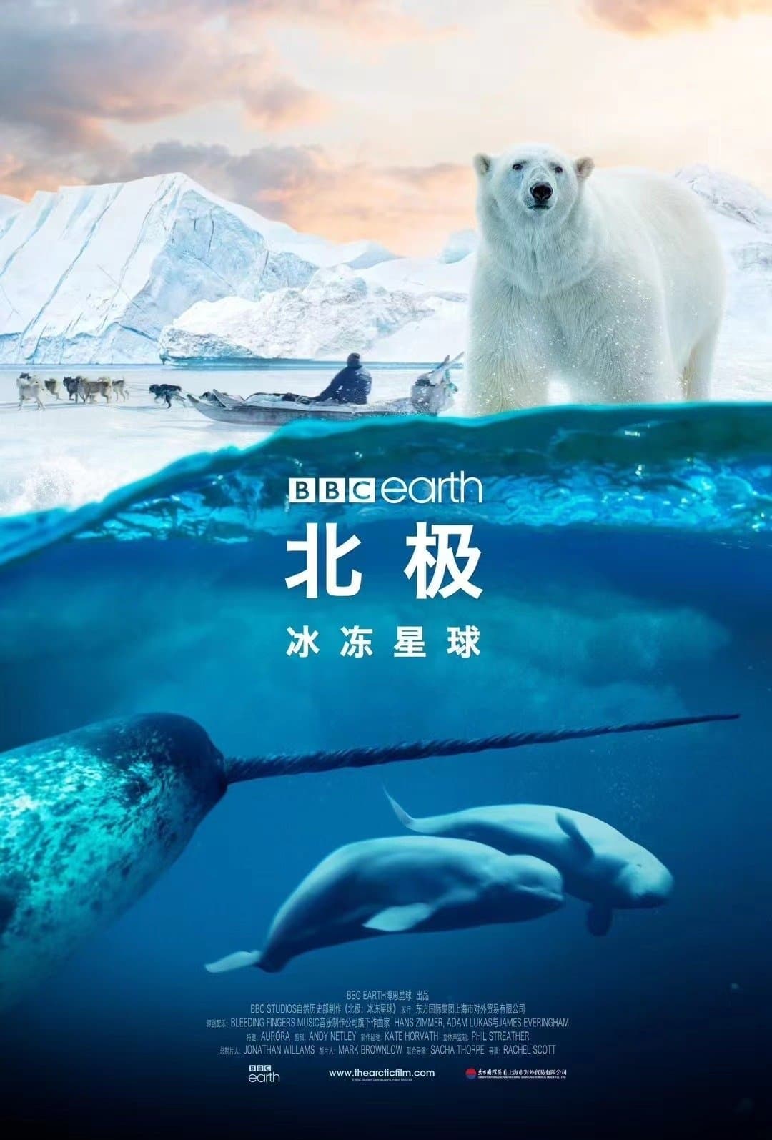 Arctic: Our Frozen Planet