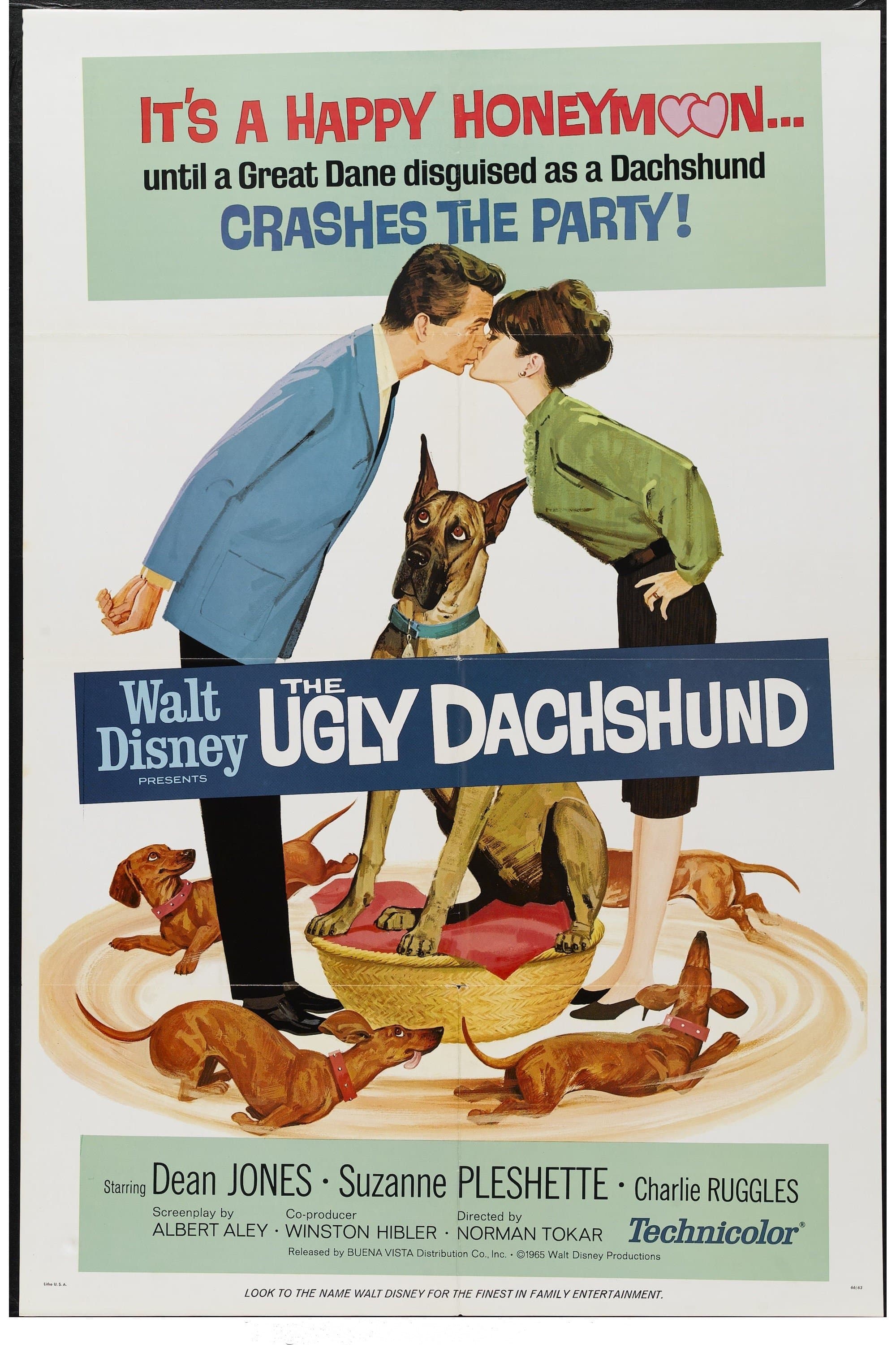 The Ugly Dachshund