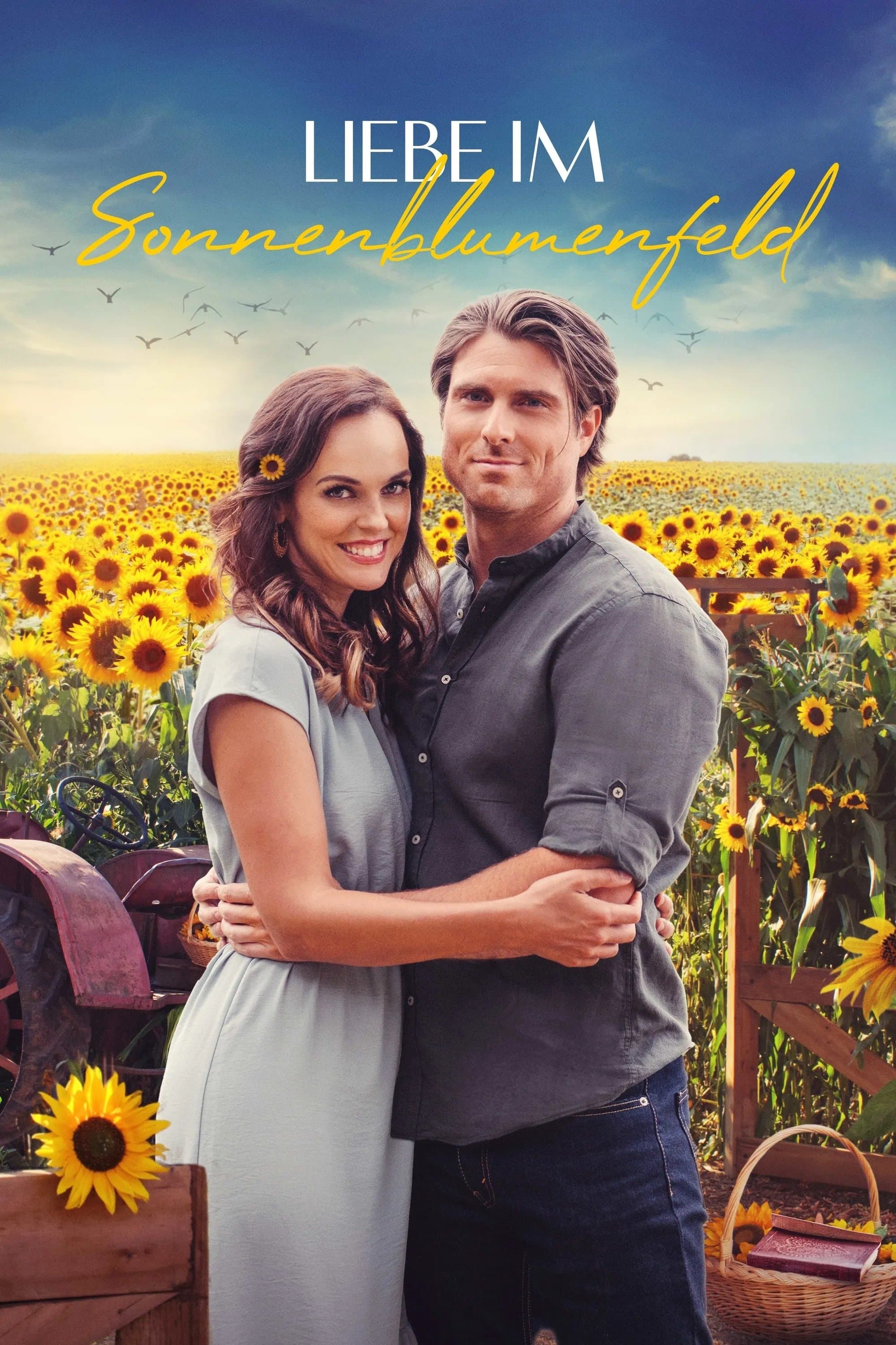Love Stories in Sunflower Valley
