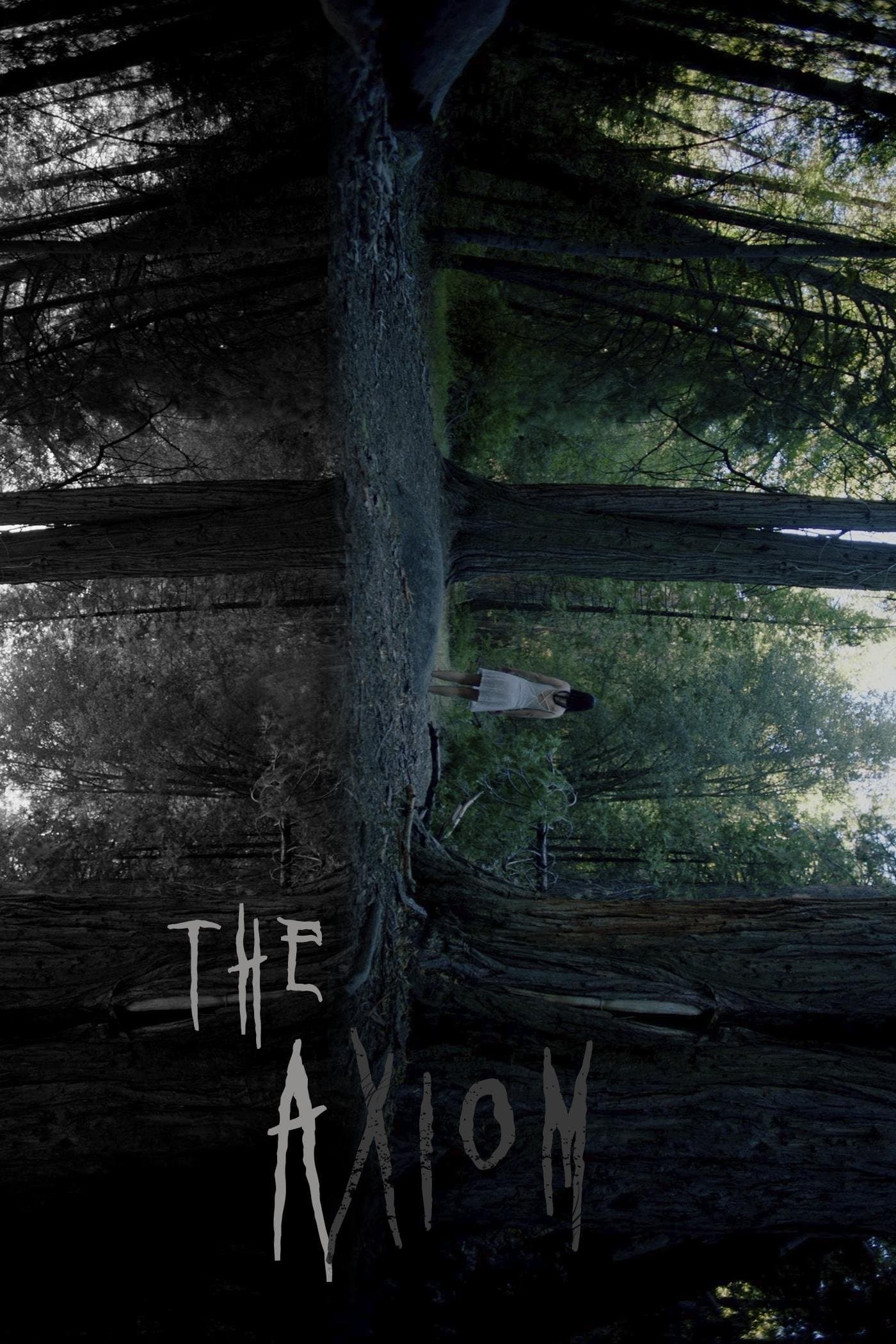 The Axiom