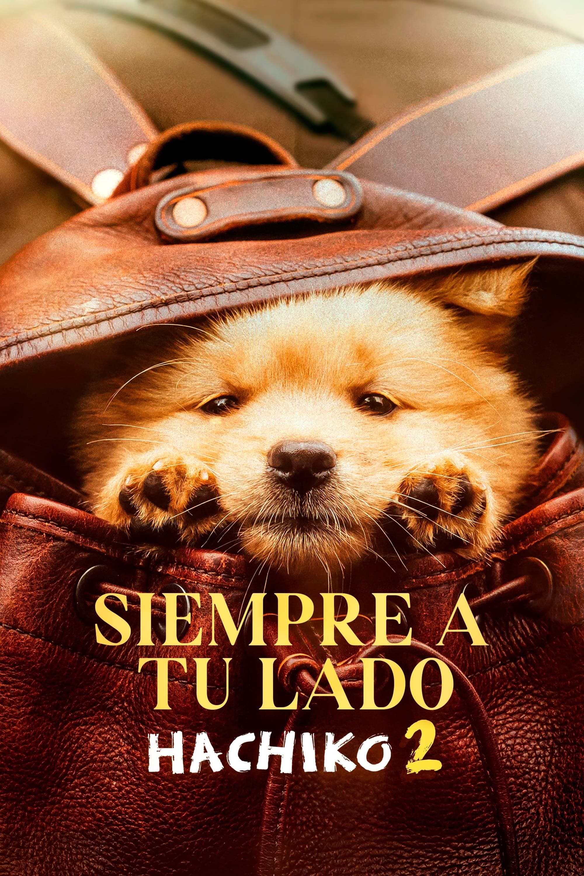 Hachiko