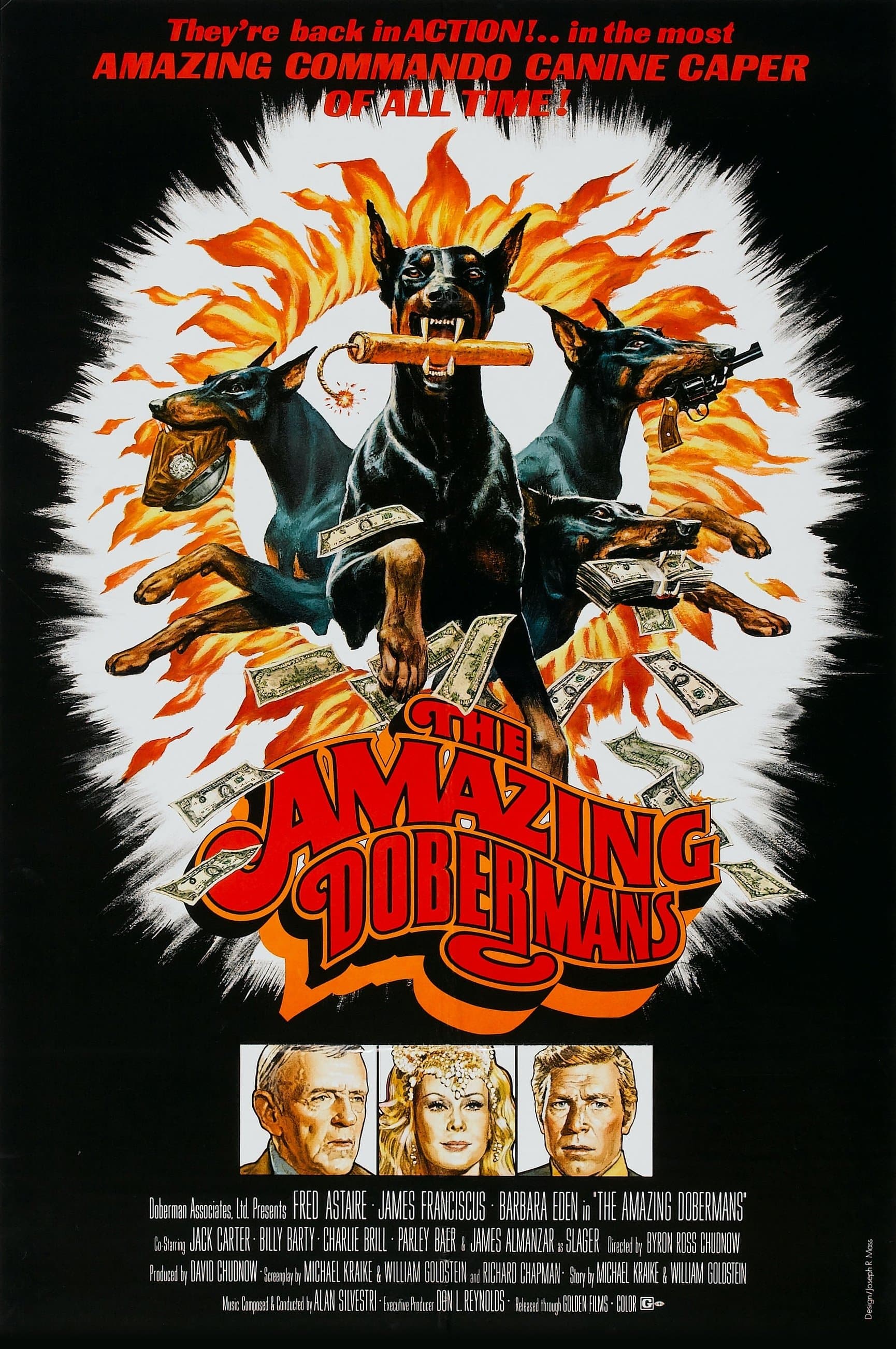 The Amazing Dobermans