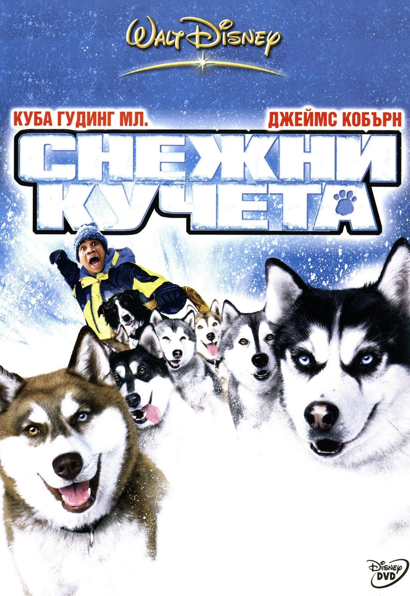 Снежни кучета